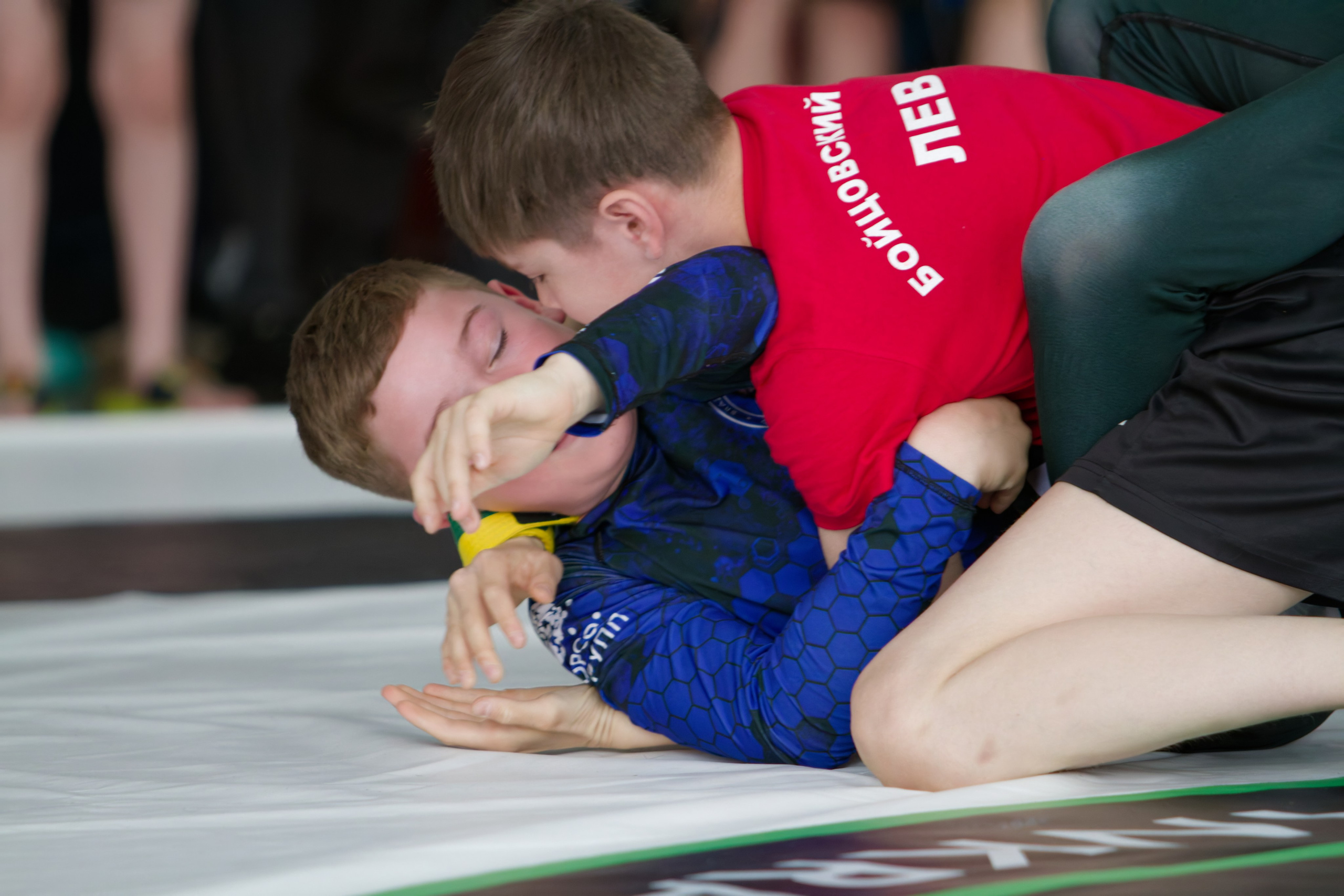 Борьба. Джиу-джитсу 26.04.2025. Репортажный и спортивный фотограф в г. Пермь Зильберг Павел