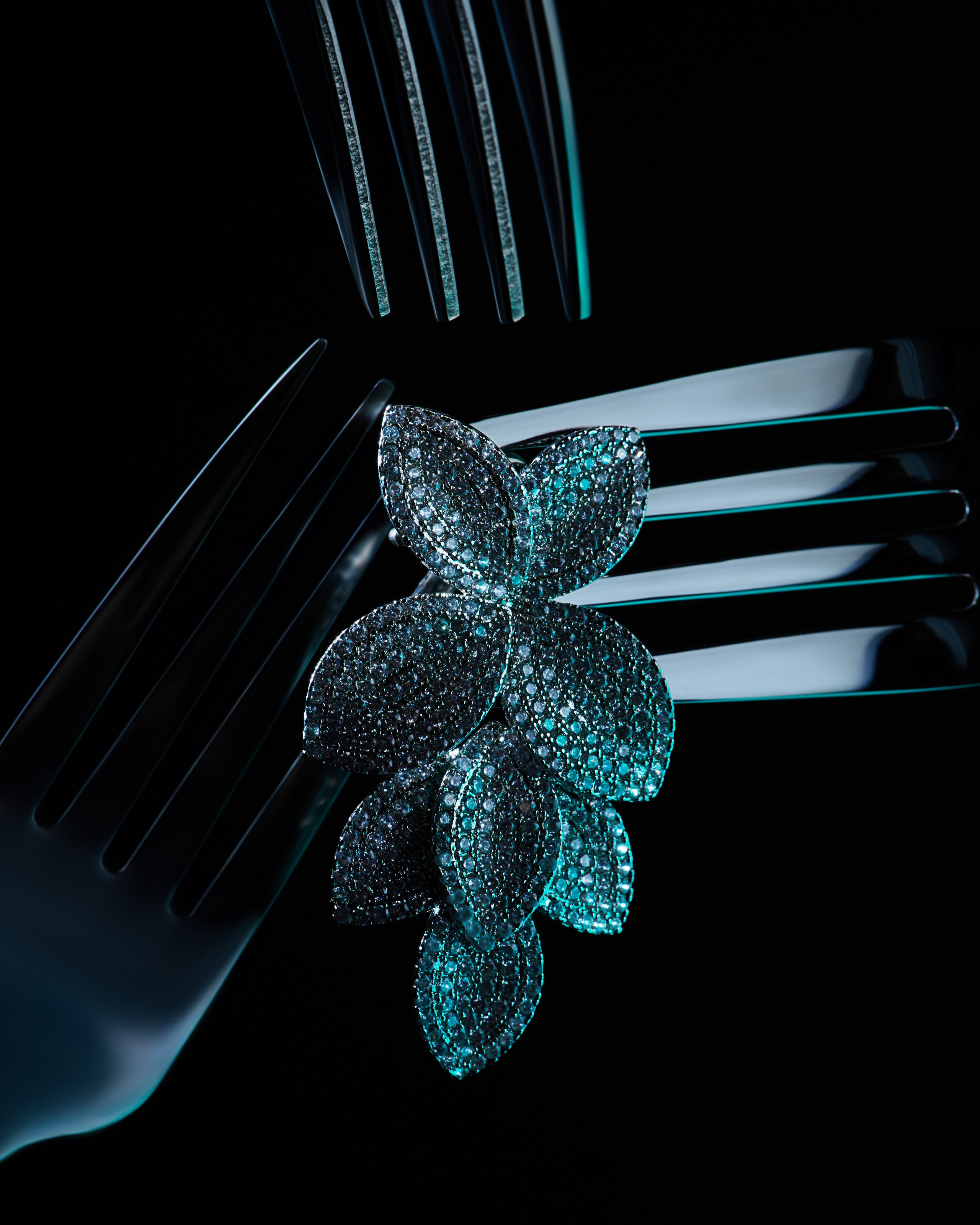 Jewelry. Retouching service