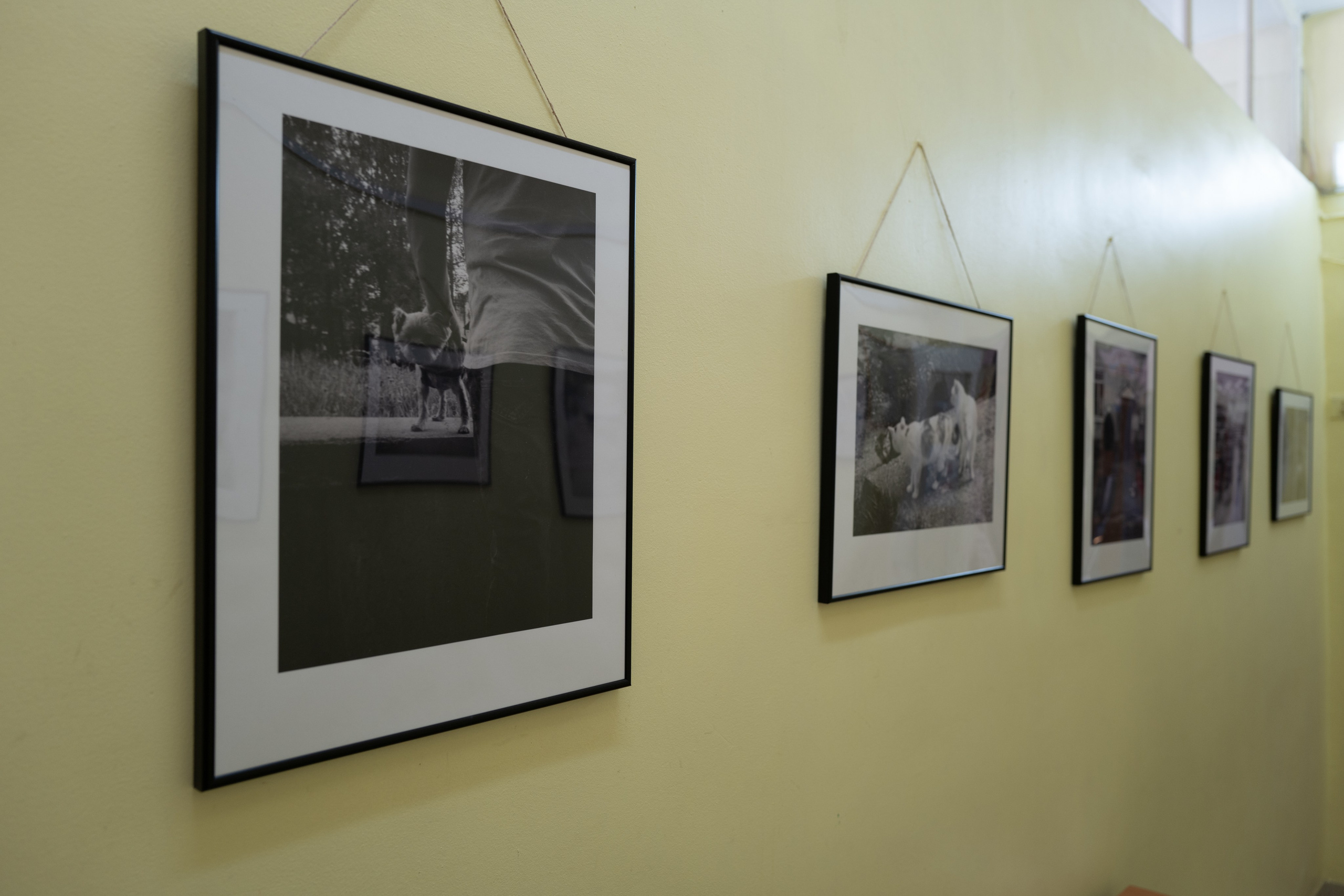 Выставка 01.04.2025. Фотограф Александр Тихонов