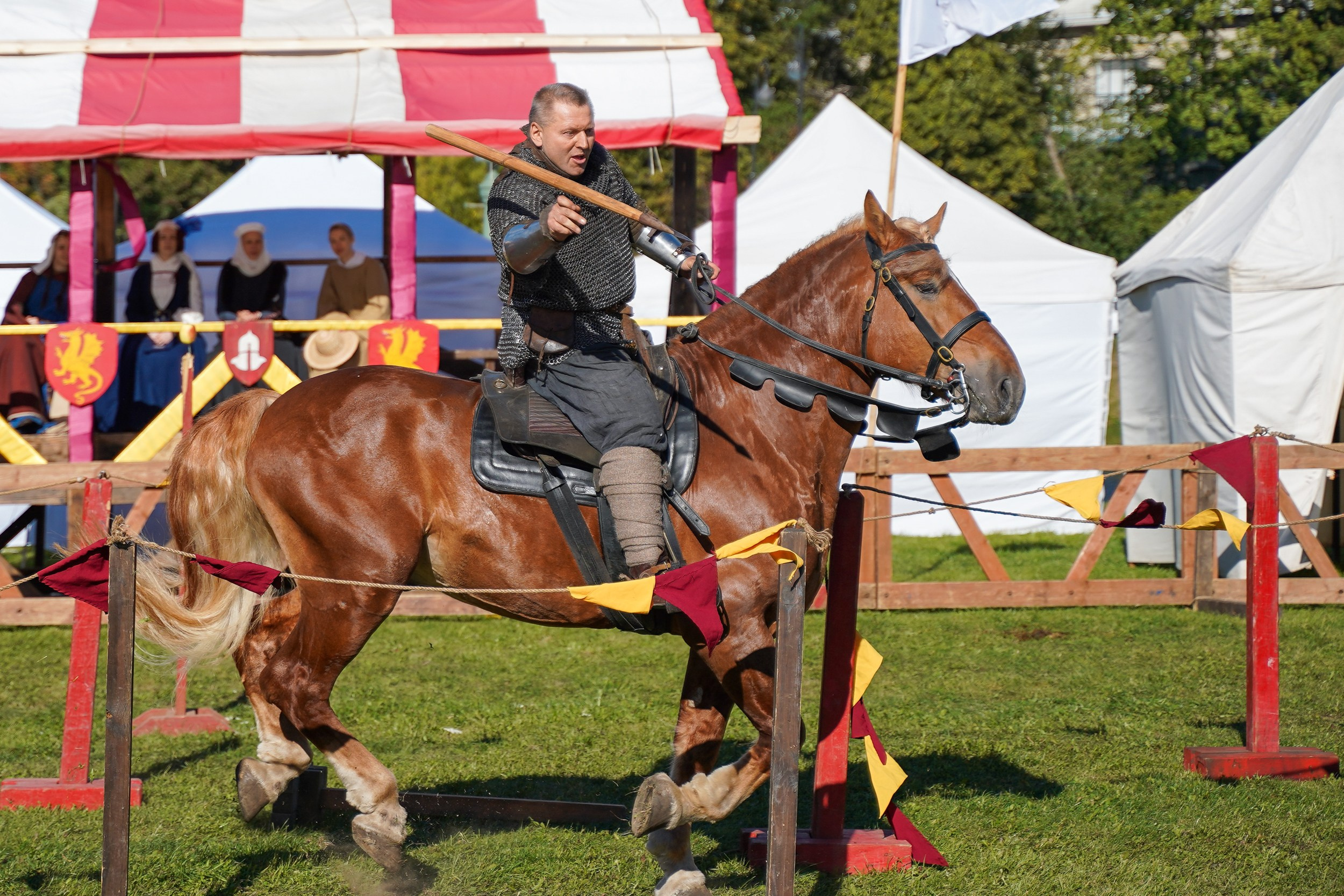 Рыцарский турнир в рамках фестиваля «Битва на Неве» Санкт-Петербург 2024 г. Фотограф-анималист, портретный фотограф в Чебоксарах Мария Садыкова