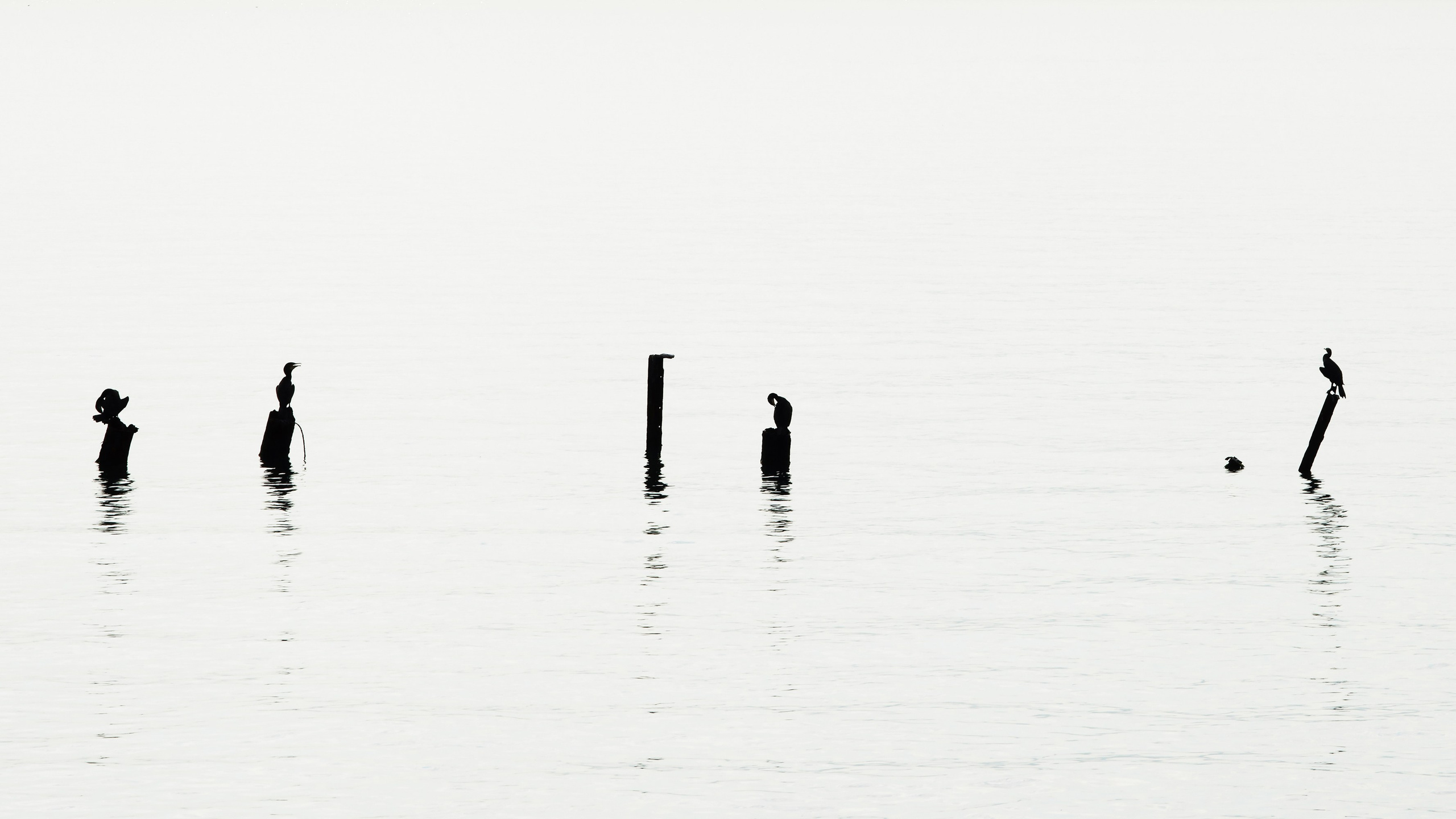 Абстракции. Яркие фото на Чёрном море