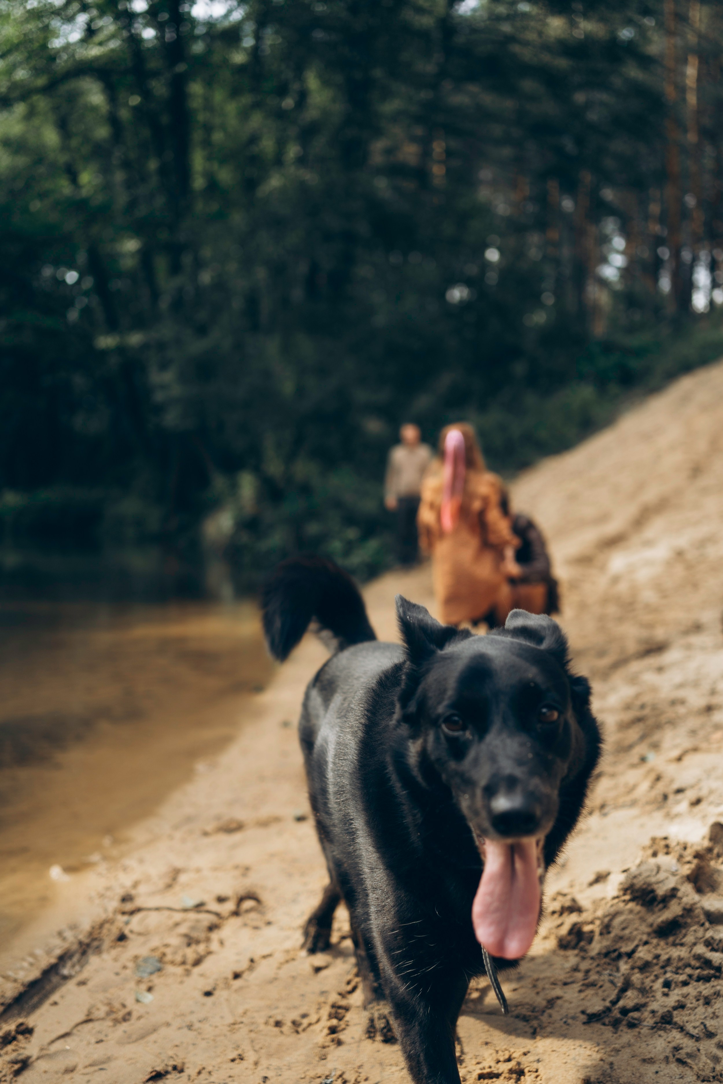 Семейная история на природе. Семейный фотограф в Калуге Ирина Алдохина