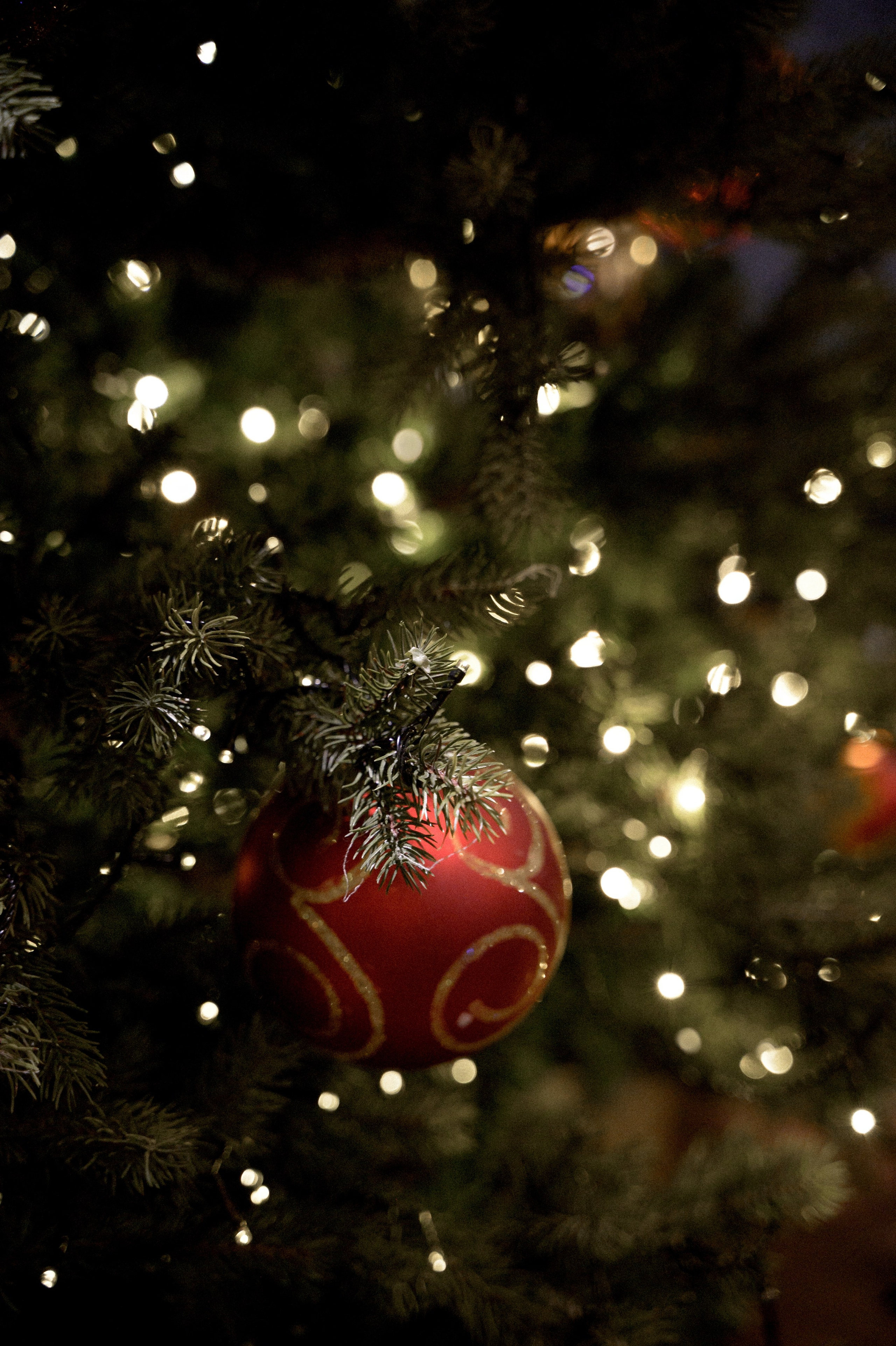 Новогодний корпоратив. Свадебный фотограф в Новосибирске Алена Цизман