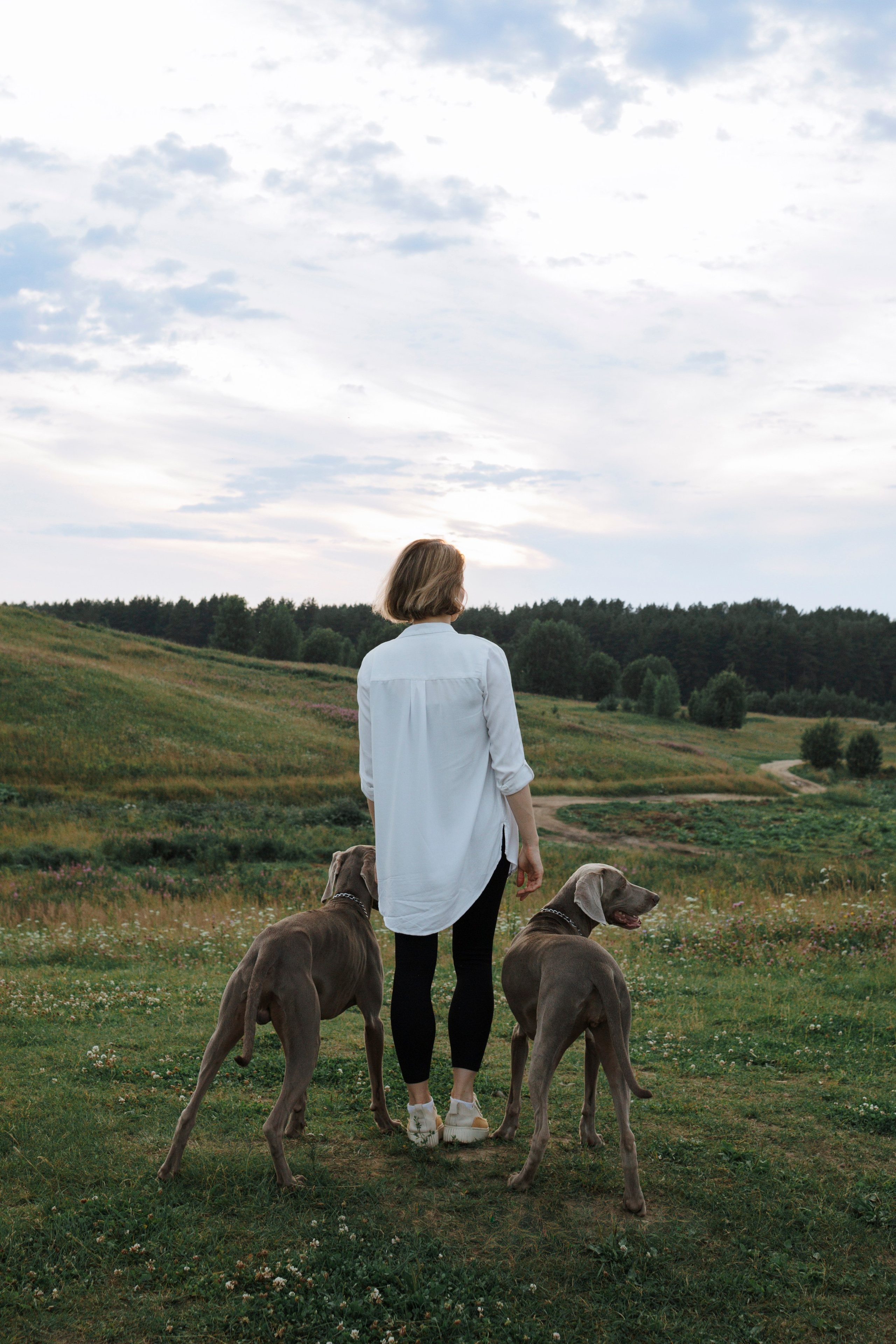 Маргарита и веймаранеры. Фотограф-анималист в Санкт-Петеребурге Титова Алиса