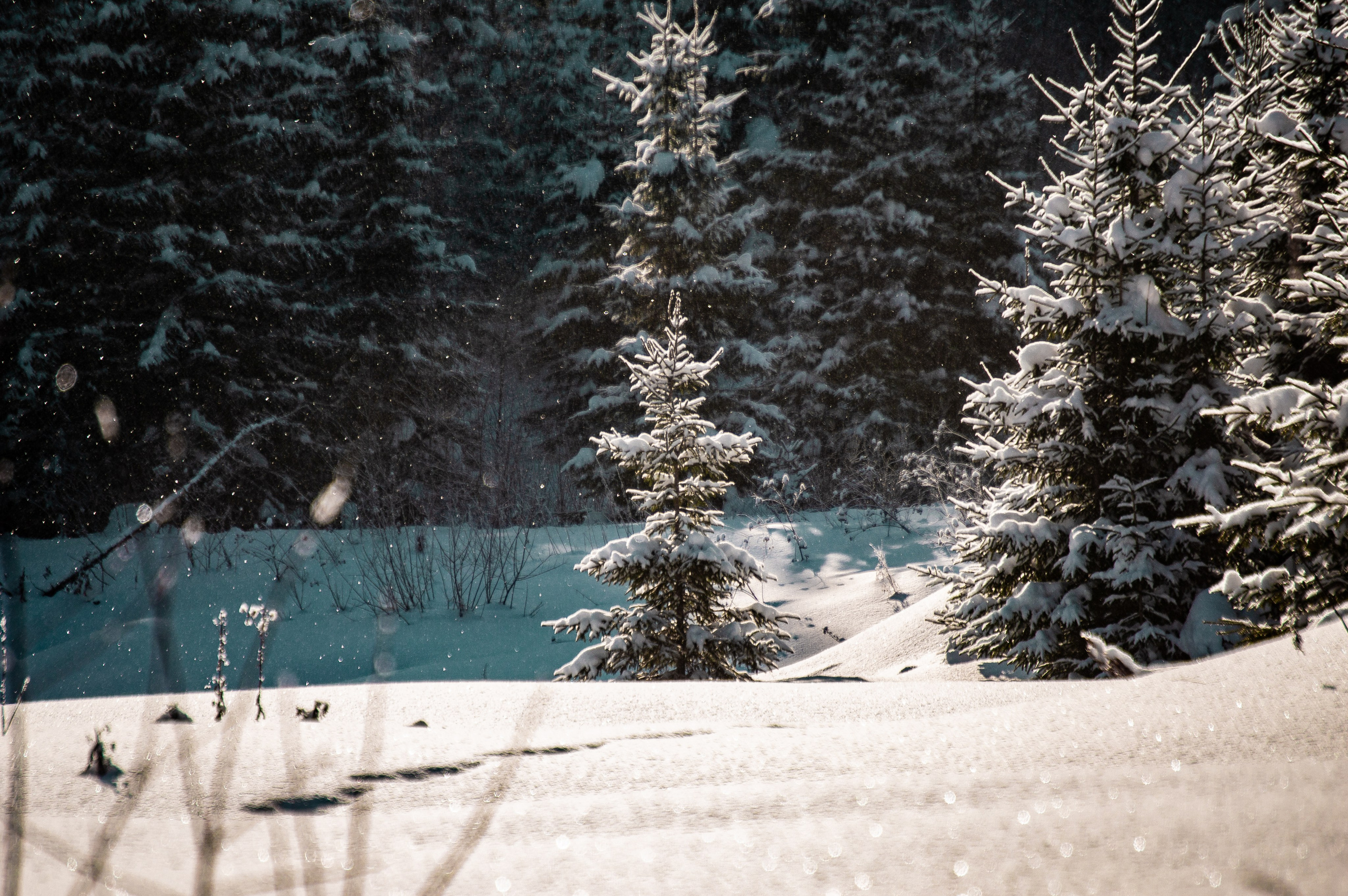 Эстетика еб{деревней}й. Место {не}банальных фото