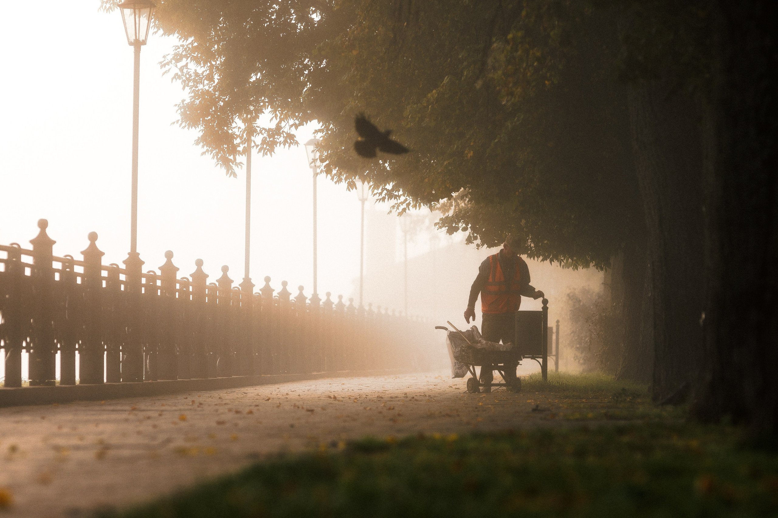 Репортажная съемка любой сложности в Кинешме. Владимир Петухов — фотограф в г. Кинешма. Оператор FPV