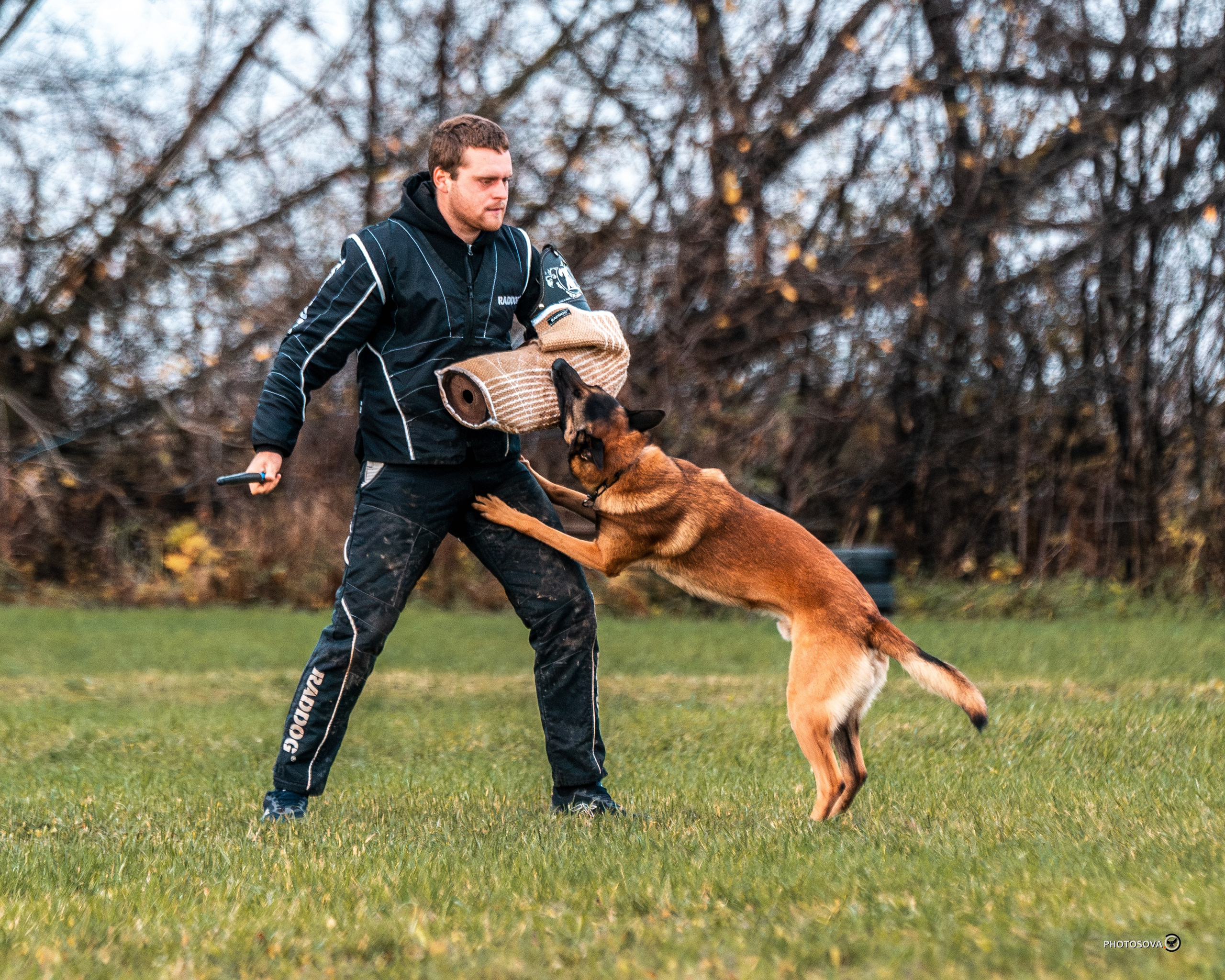 МЫ — КОМАНДА (соревнования) OKD, BH, IBGH, IGP. Фотограф-анималист, семейный фотограф в Москве и Подмосковье. Фотосъёмка кинологических дисциплин