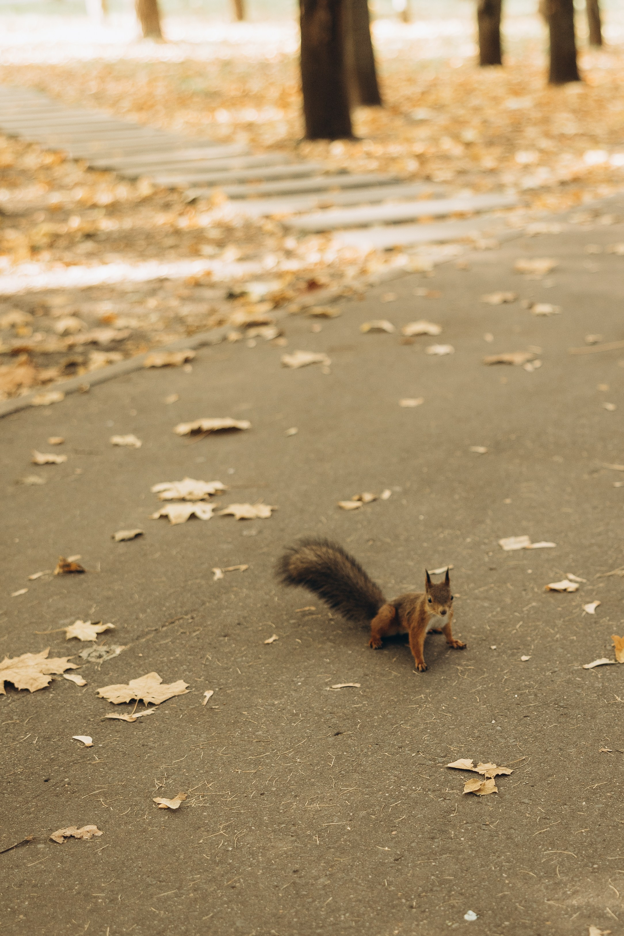 Оля. Семейный фотограф в Москве Виктория Ястребинская