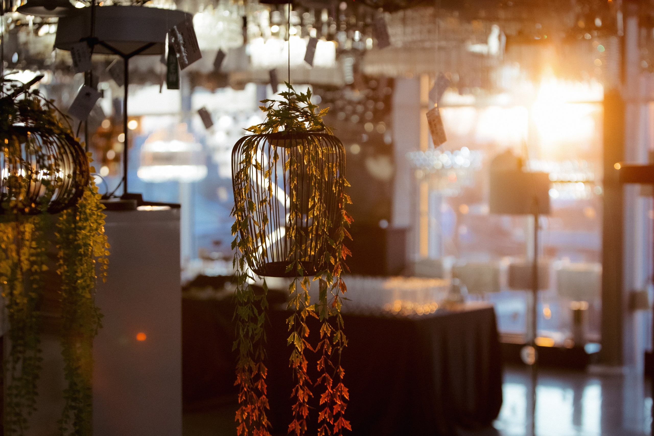 FANDECO [Освещение дома светодизайнера]. СВОИ. ФОТООТЧЕТЫ-СОБЫТИЯ-МЕСТА