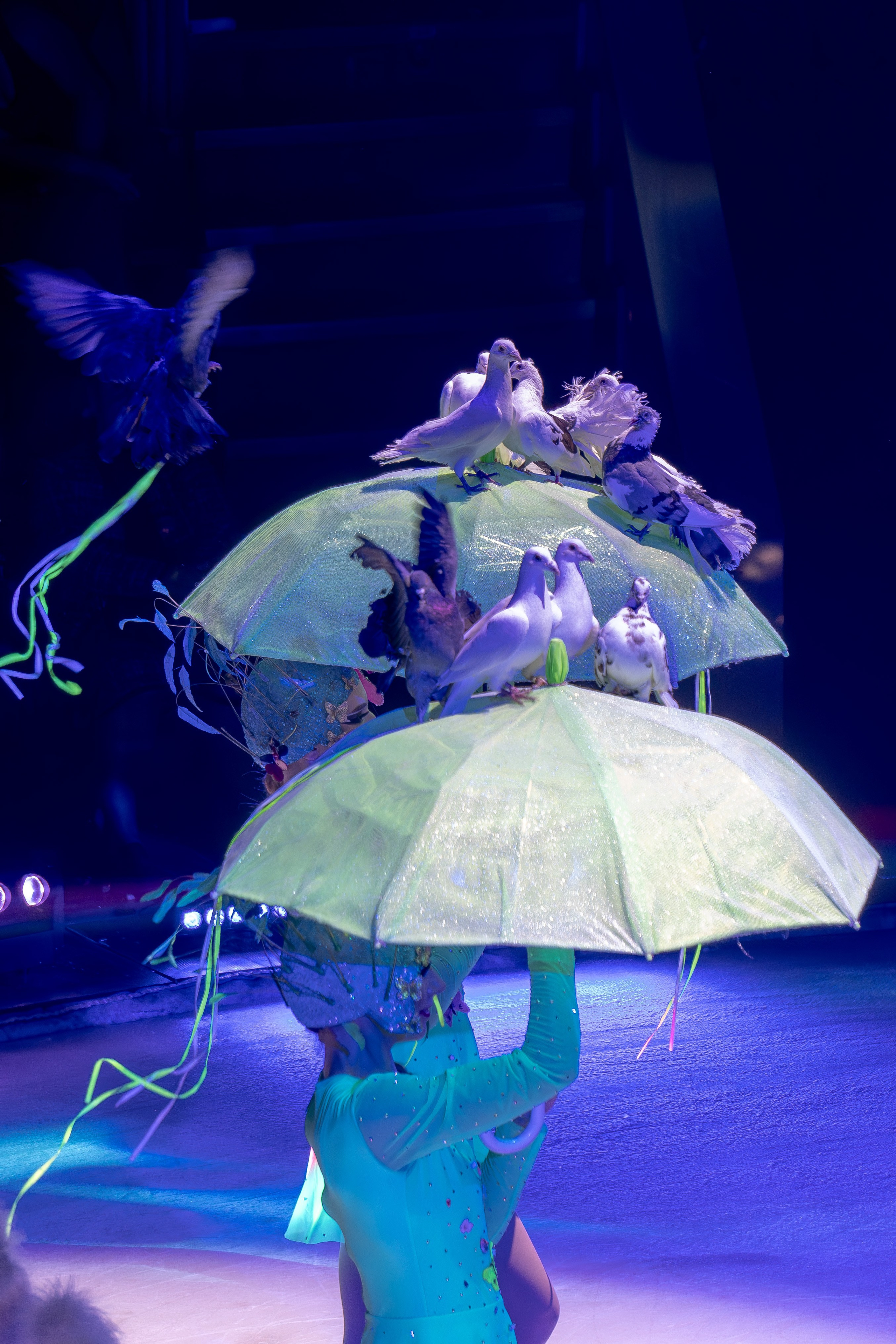 Цирк на льду «Айсберг» в Луганске. Фотограф в РФ и ЛНР Юлия Федосеева