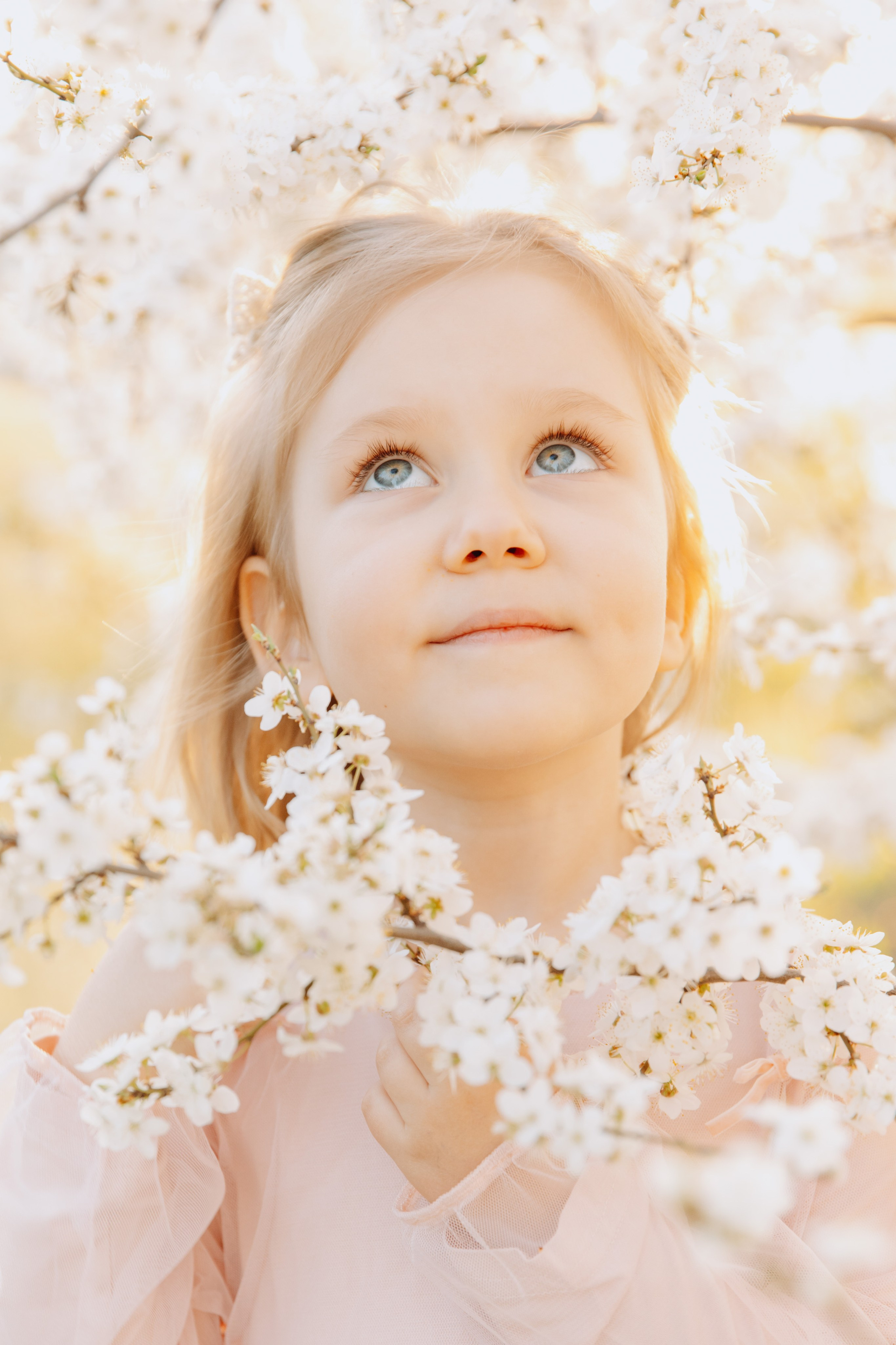 Цветение. Фотограф Максим Никонов