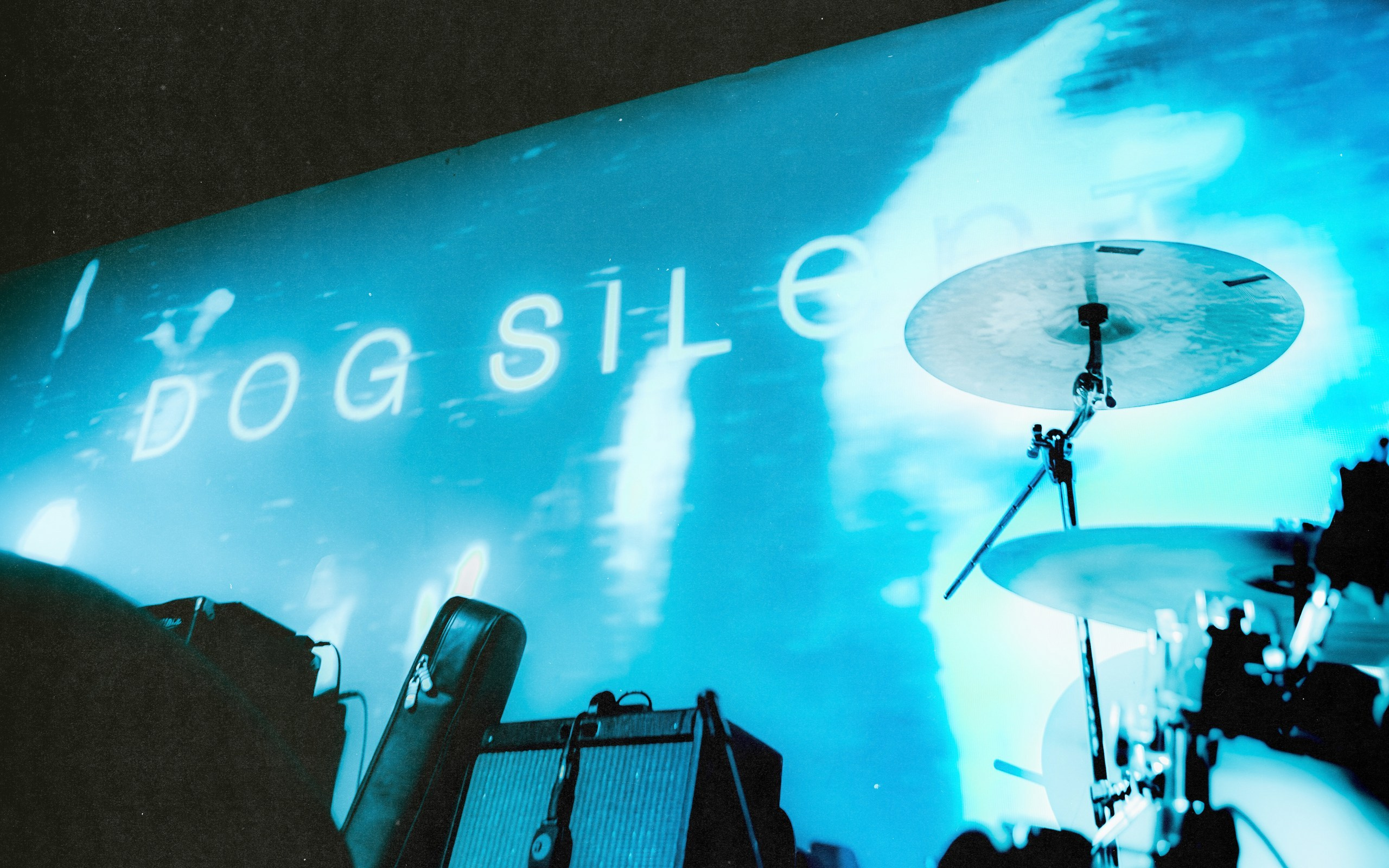 Dog Silent [pwrhs]. Фотограф Москва