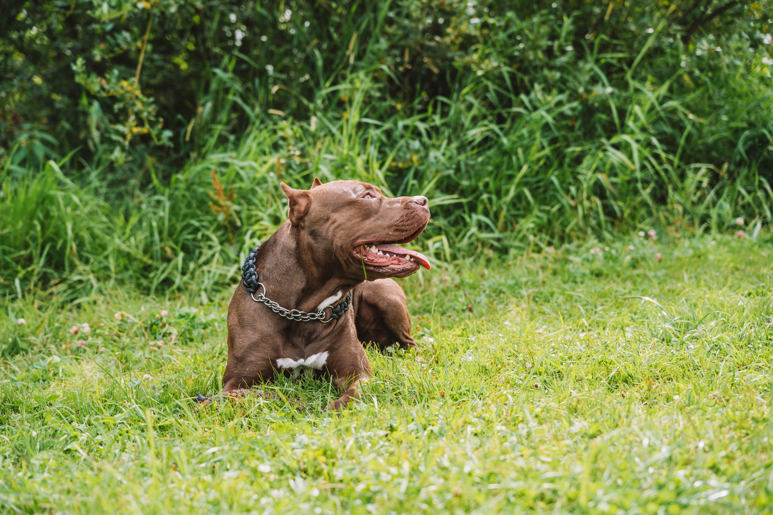 Лав стори фотограф Санкт-Петербург. Свадебный, семейный, портретный, репортажный фотограф в Санкт-Петербурге