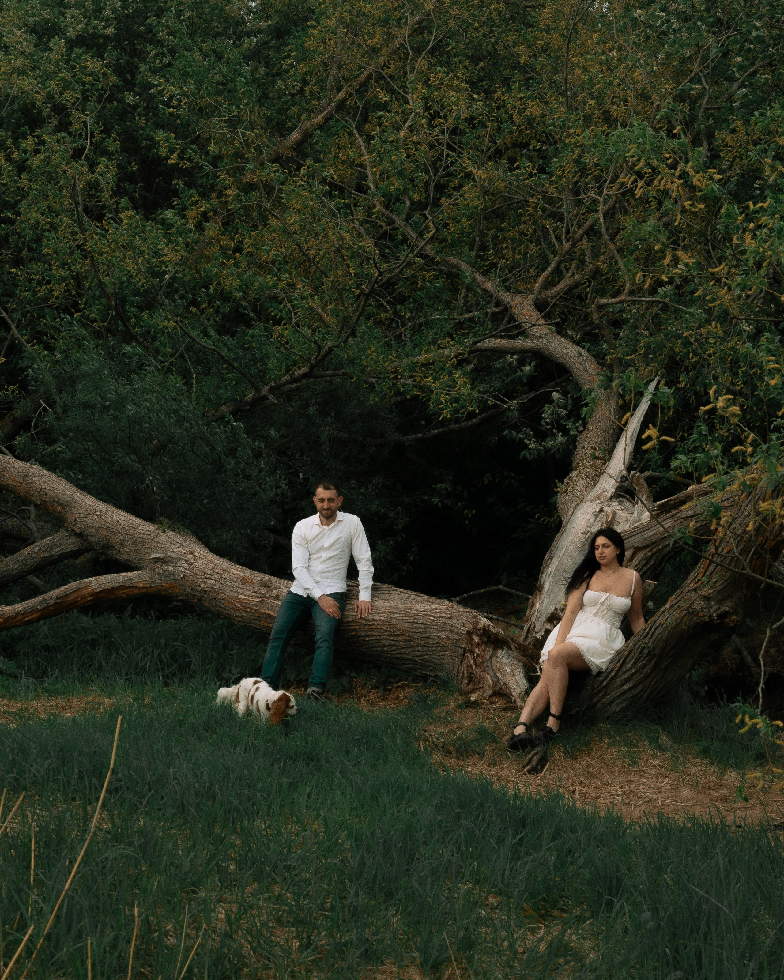 свадебные фотографии в киношном стиле в Санкт-Петербурге