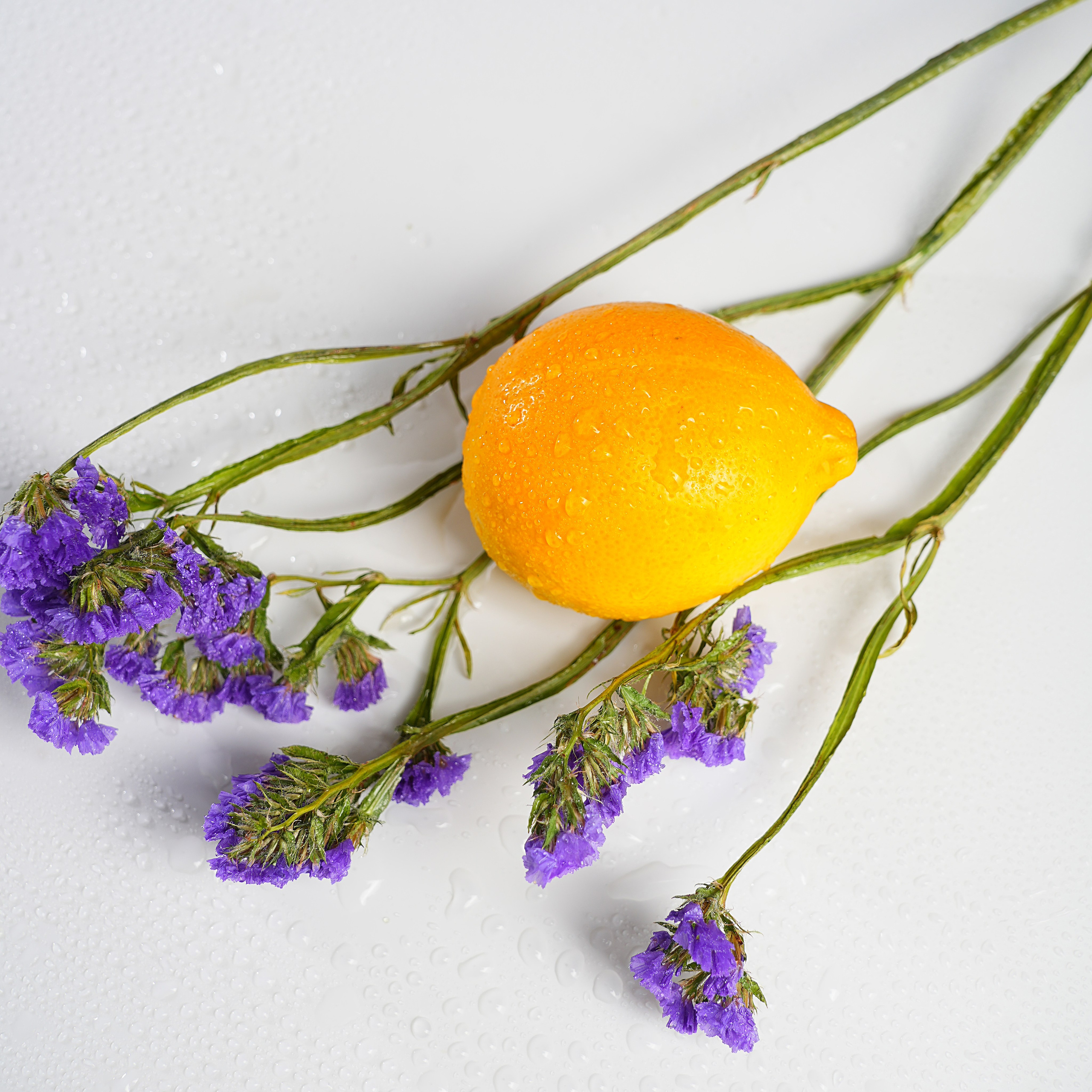 Предметная фотосъёмка. Фотограф, видеооператор Нина Коршунова