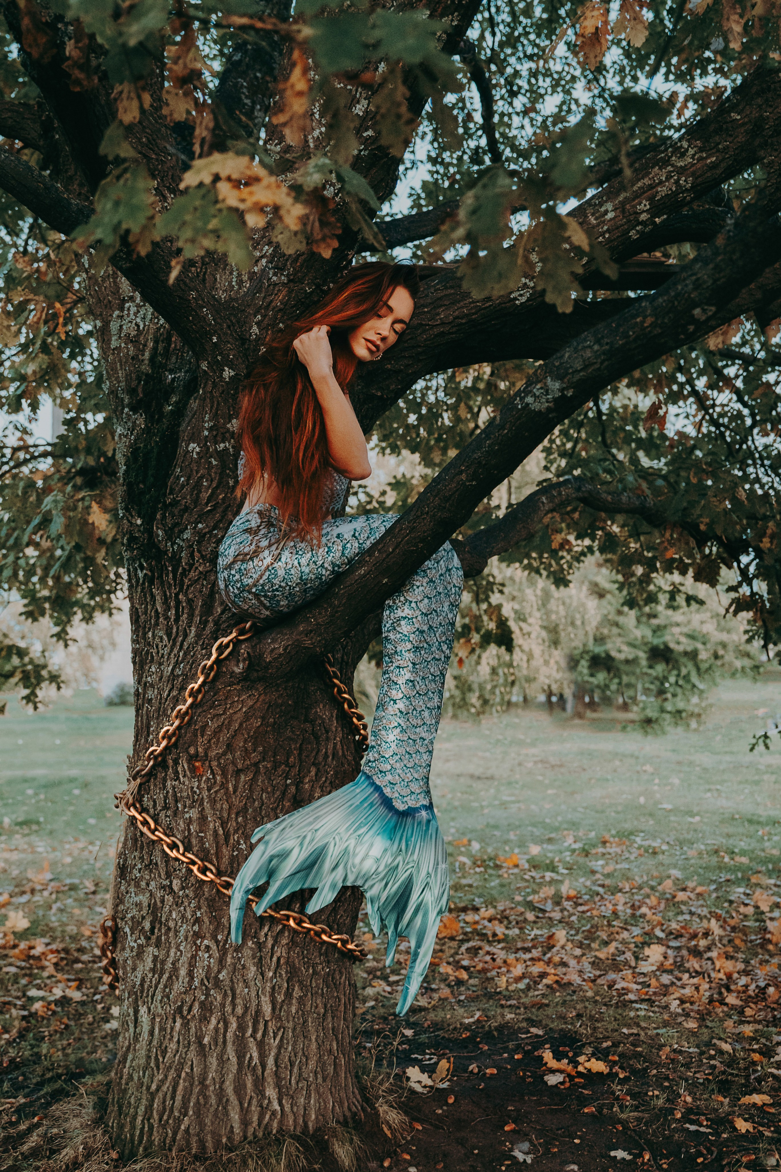 Художественные. Главная