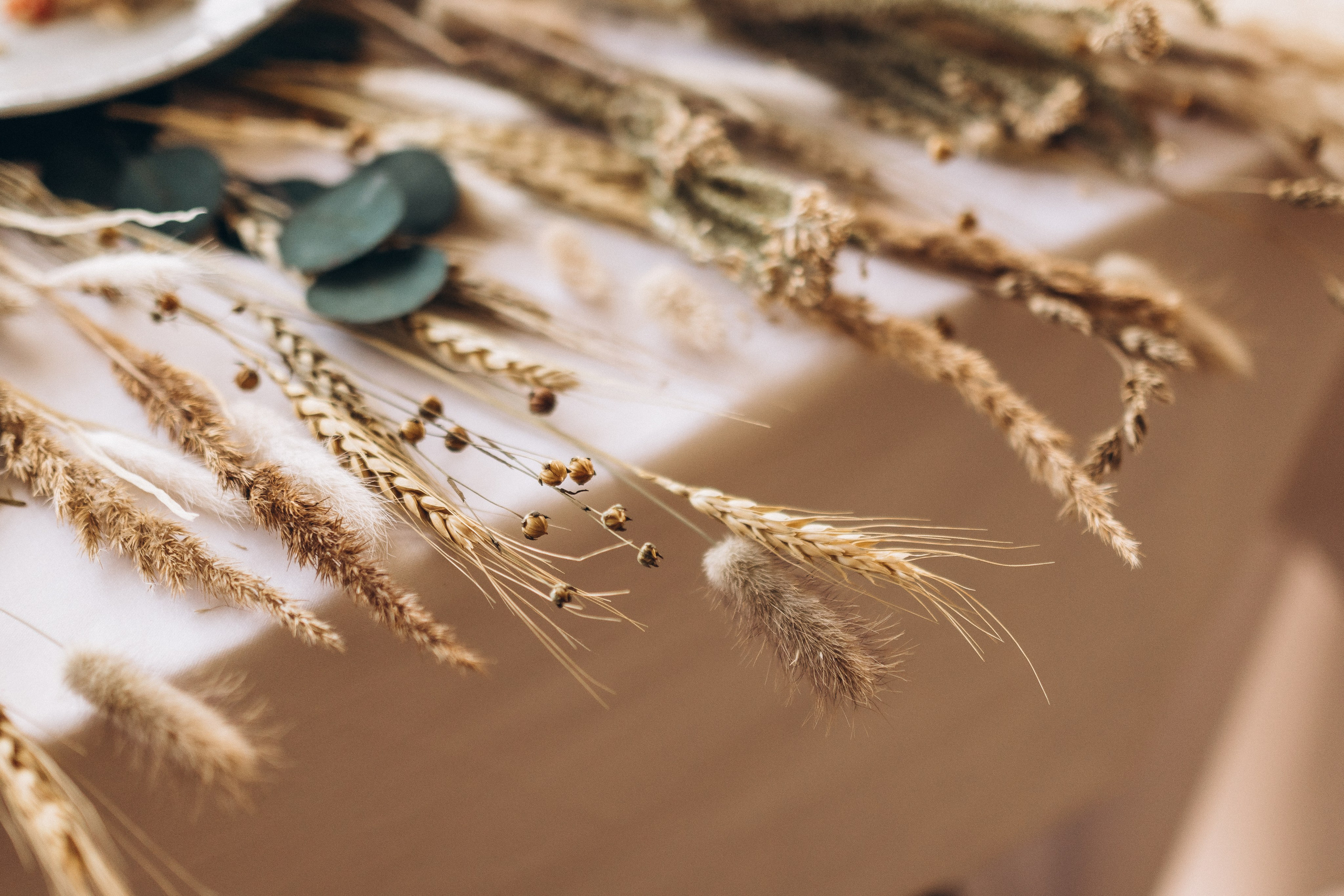 Свадьба в стиле Бохо (банкет). Фотограф ПИТЕР СПБ Надежда Баранова