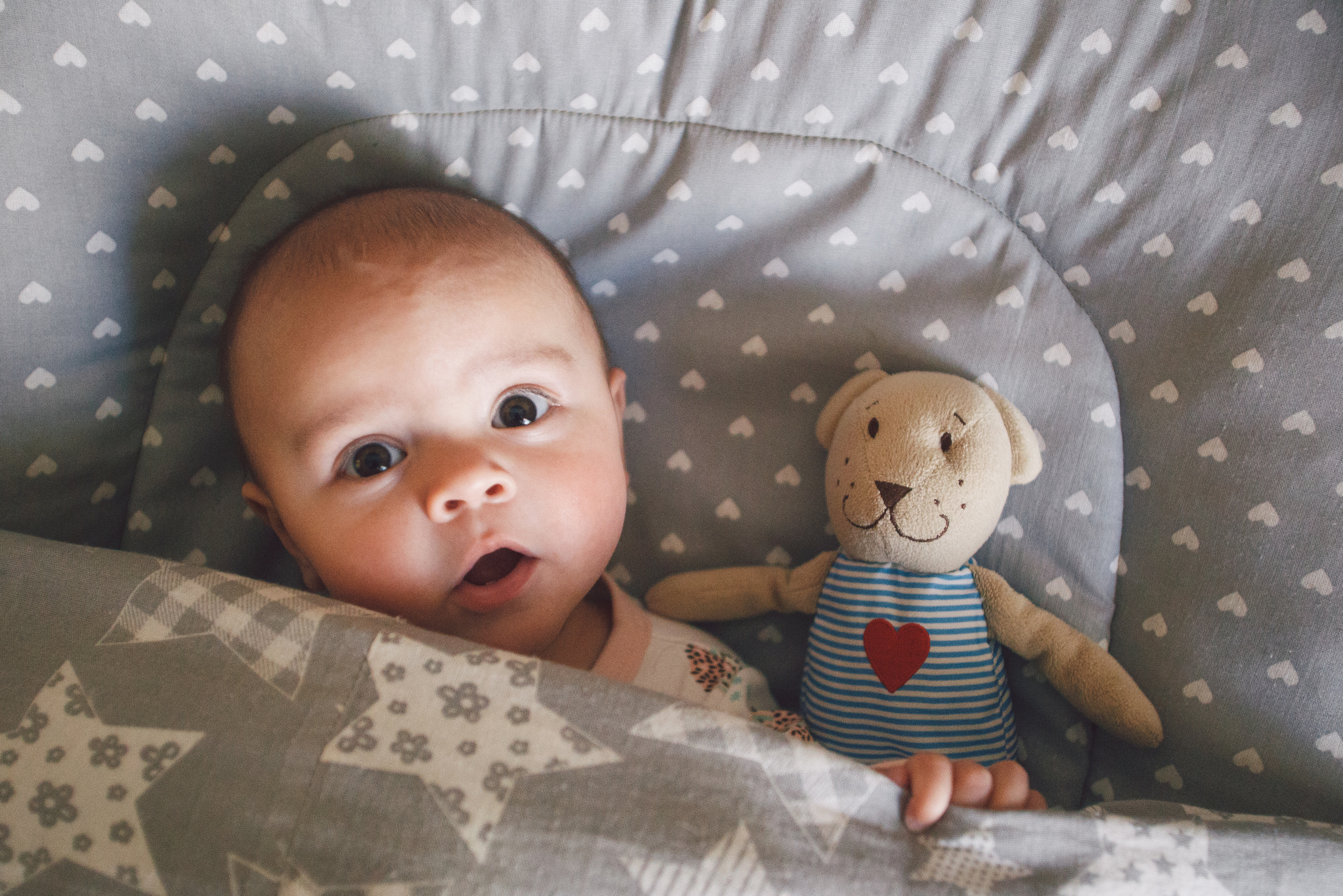 Семейные фото. Фотограф Александр Чешуин