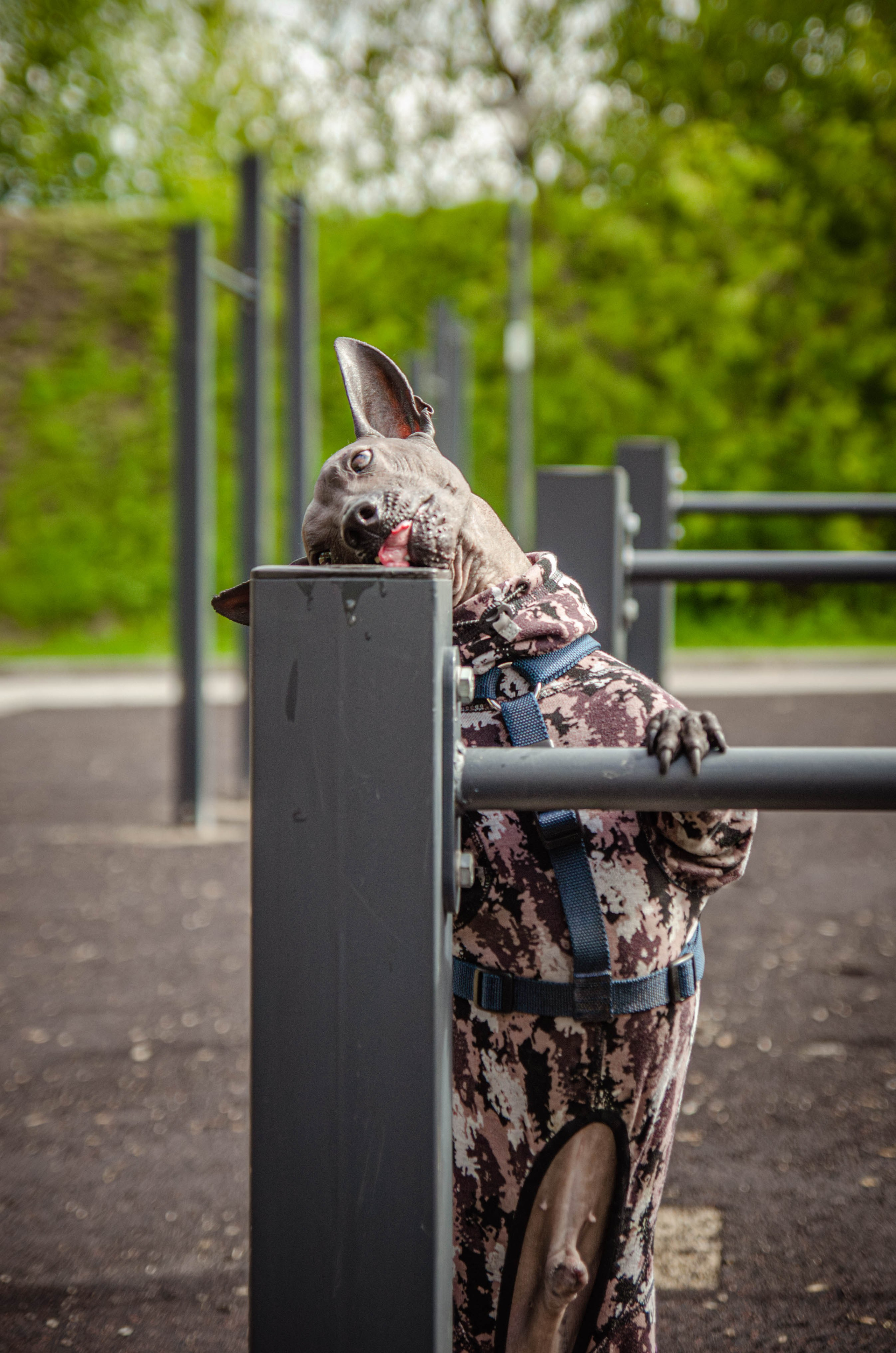 Сёма. Фотограф Светлана Блинова, Москва и Московская область