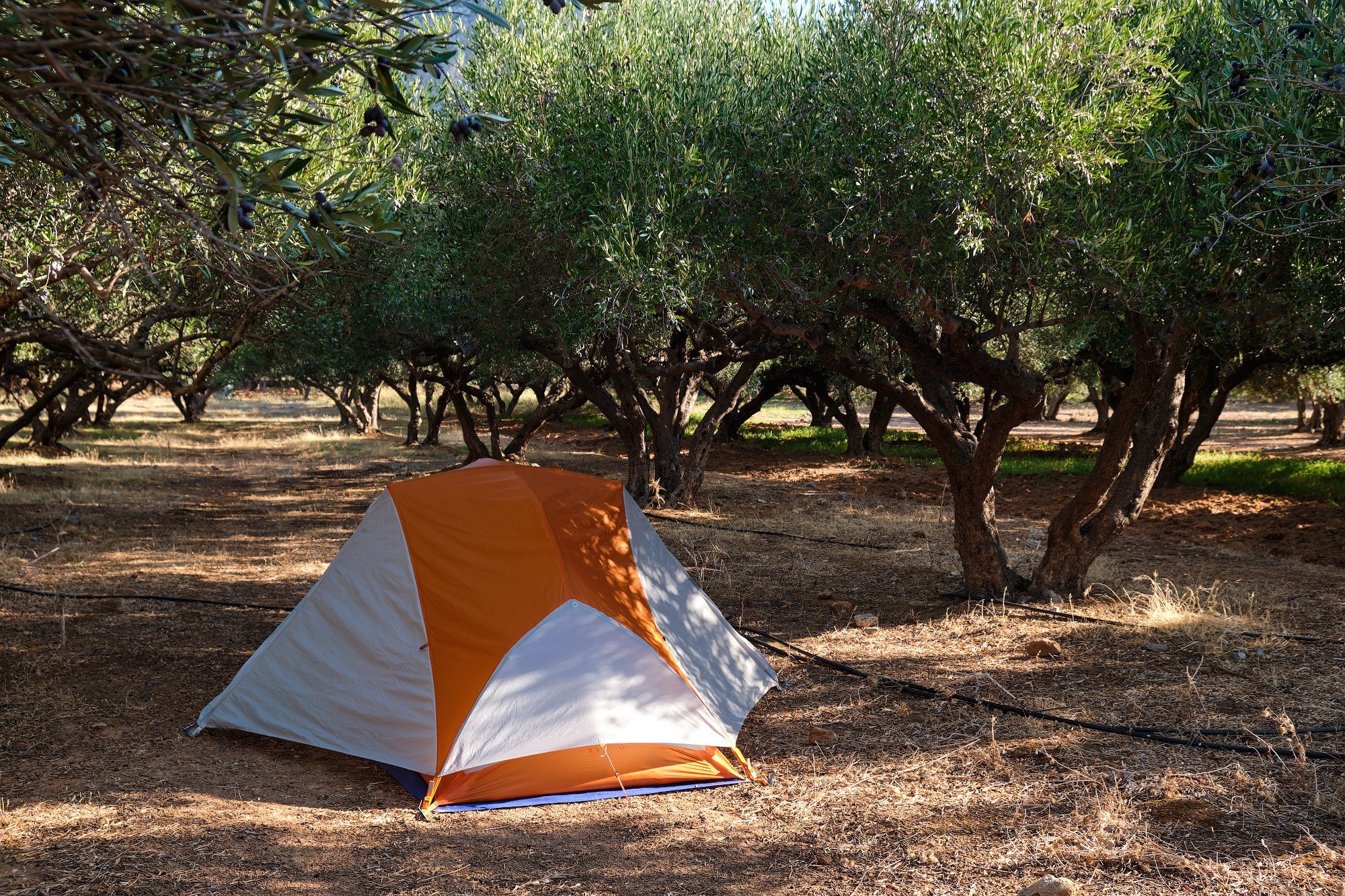 Крит 2019. Репортажный фотограф Дмитрий Литвинский. Минск, Беларусь, мир
