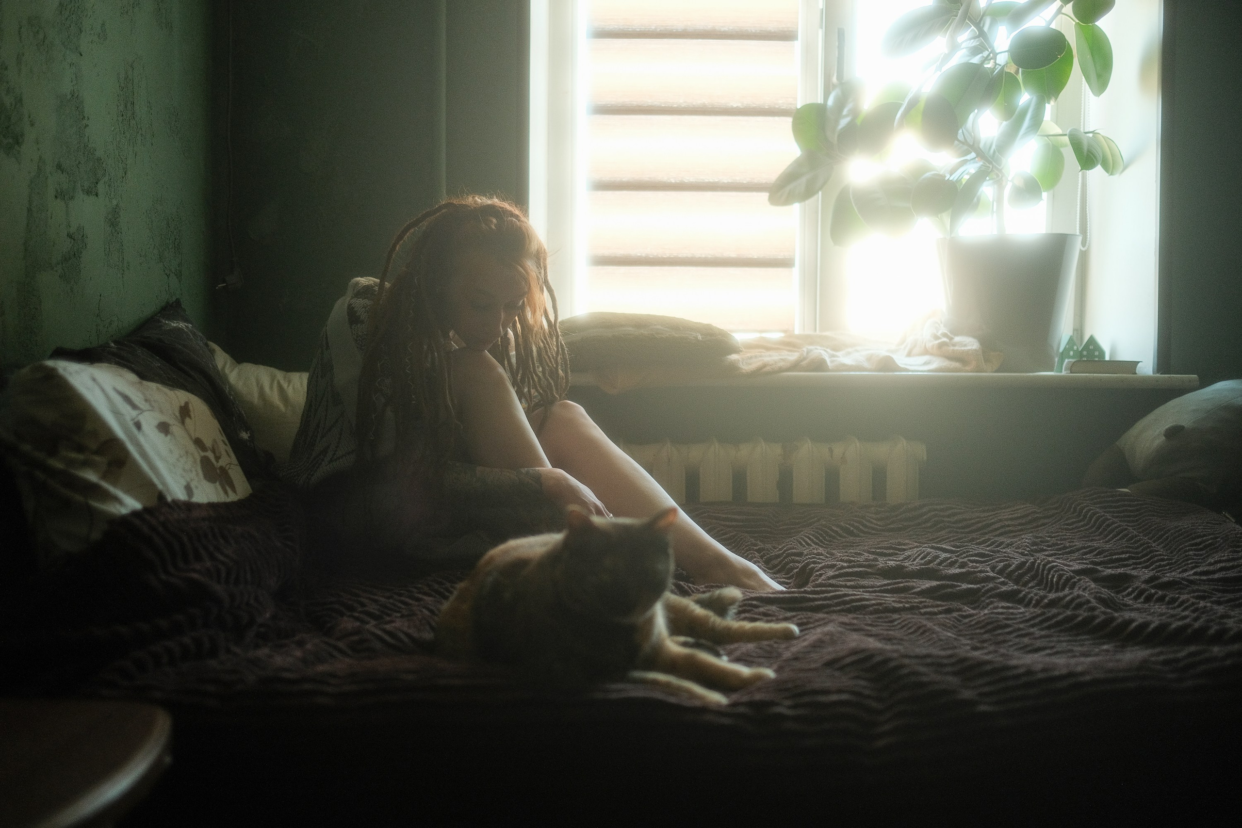 Smoky morning. Aleksandr Schafft