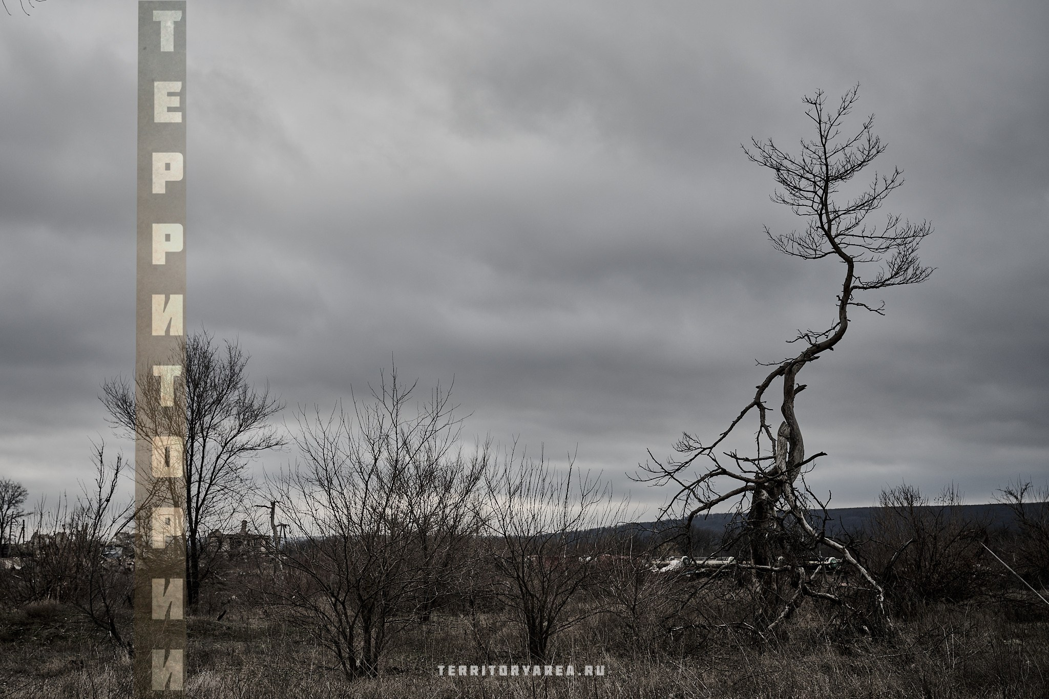 Открытки фотопроекта «Территории». Фотопроект «Территории»