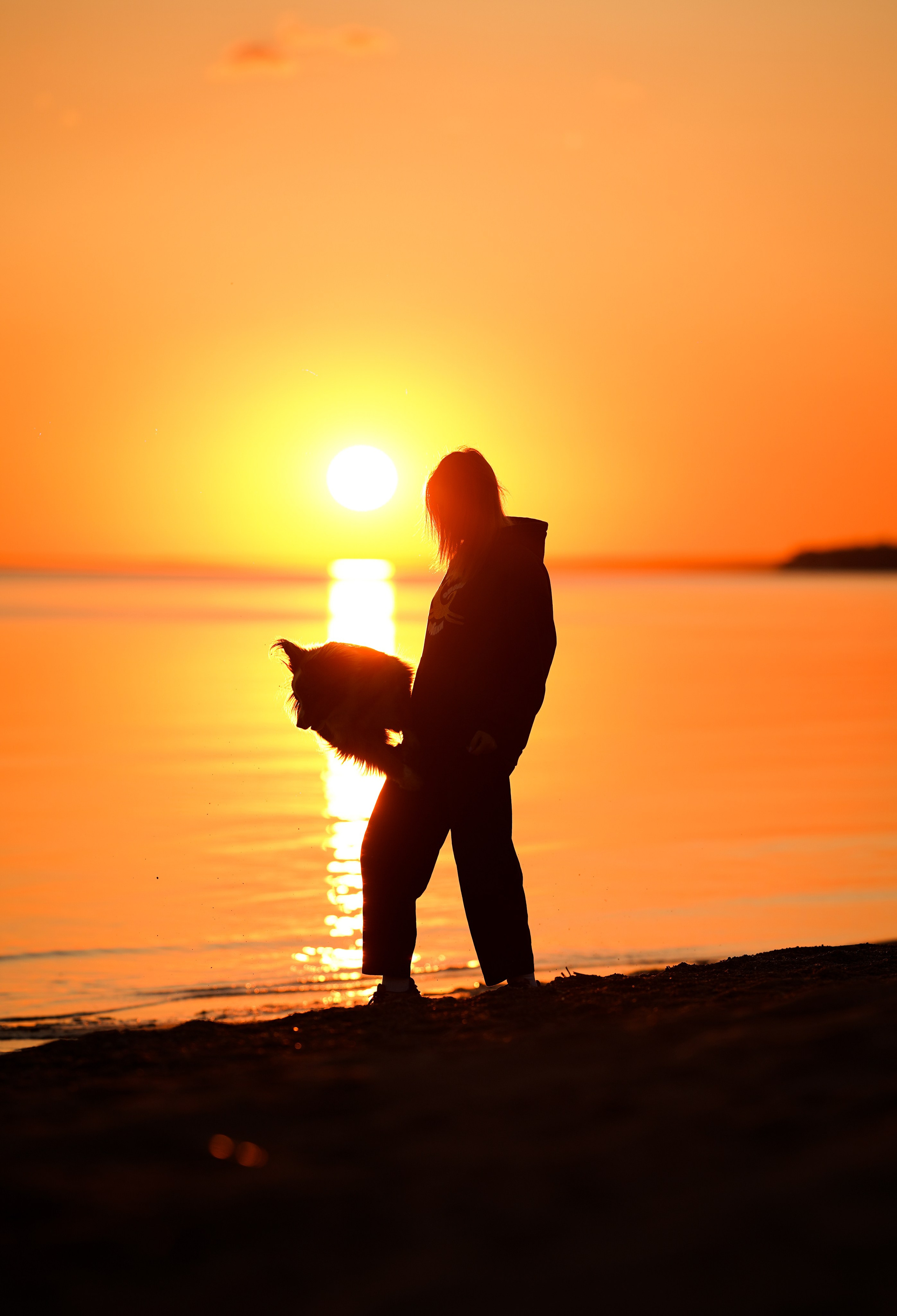 Алиса и Джокер. Фотограф-анималист в Санкт-Петербурге Яна Мартынова
