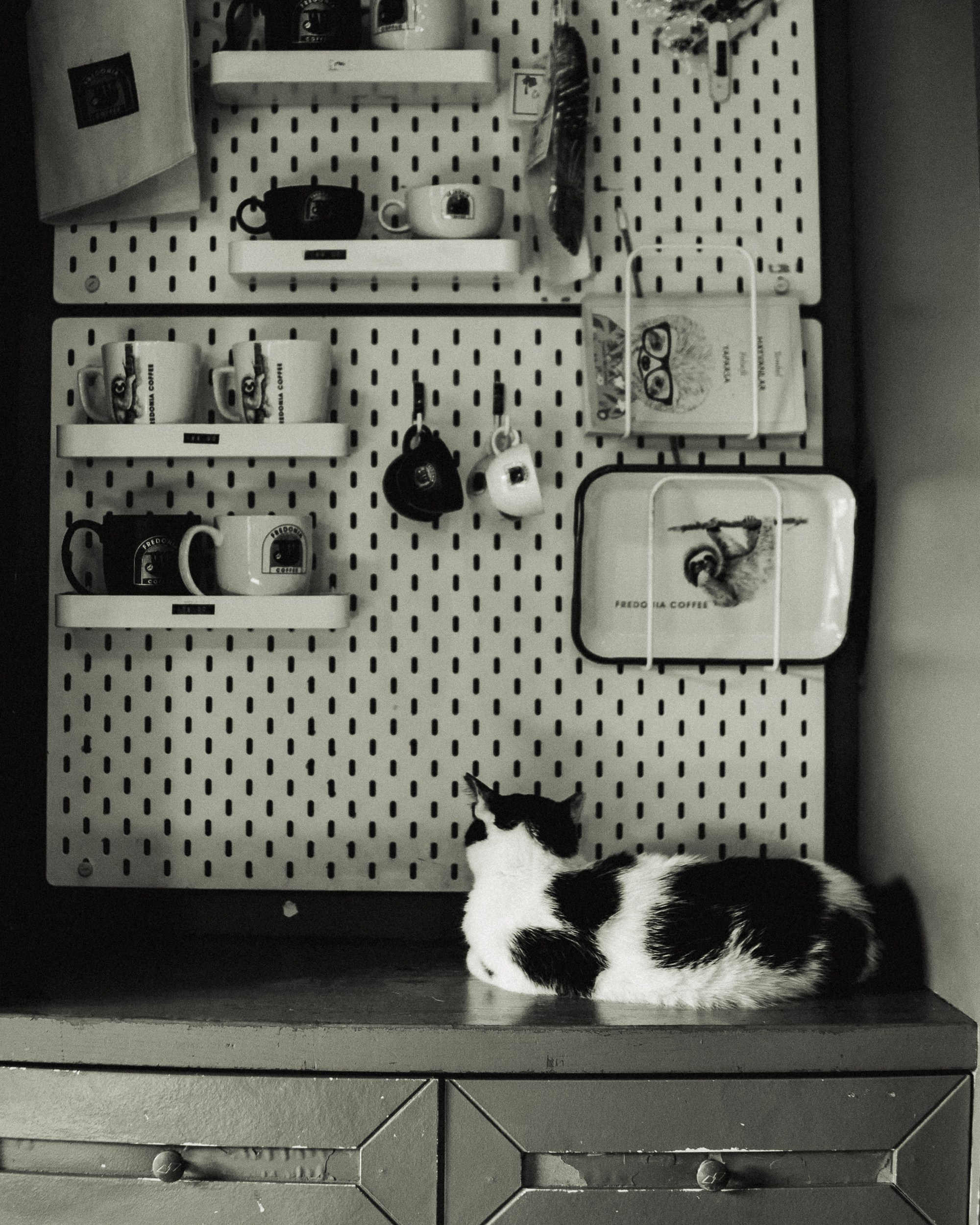 Book a photo shoot. Real moments between people and their dogs