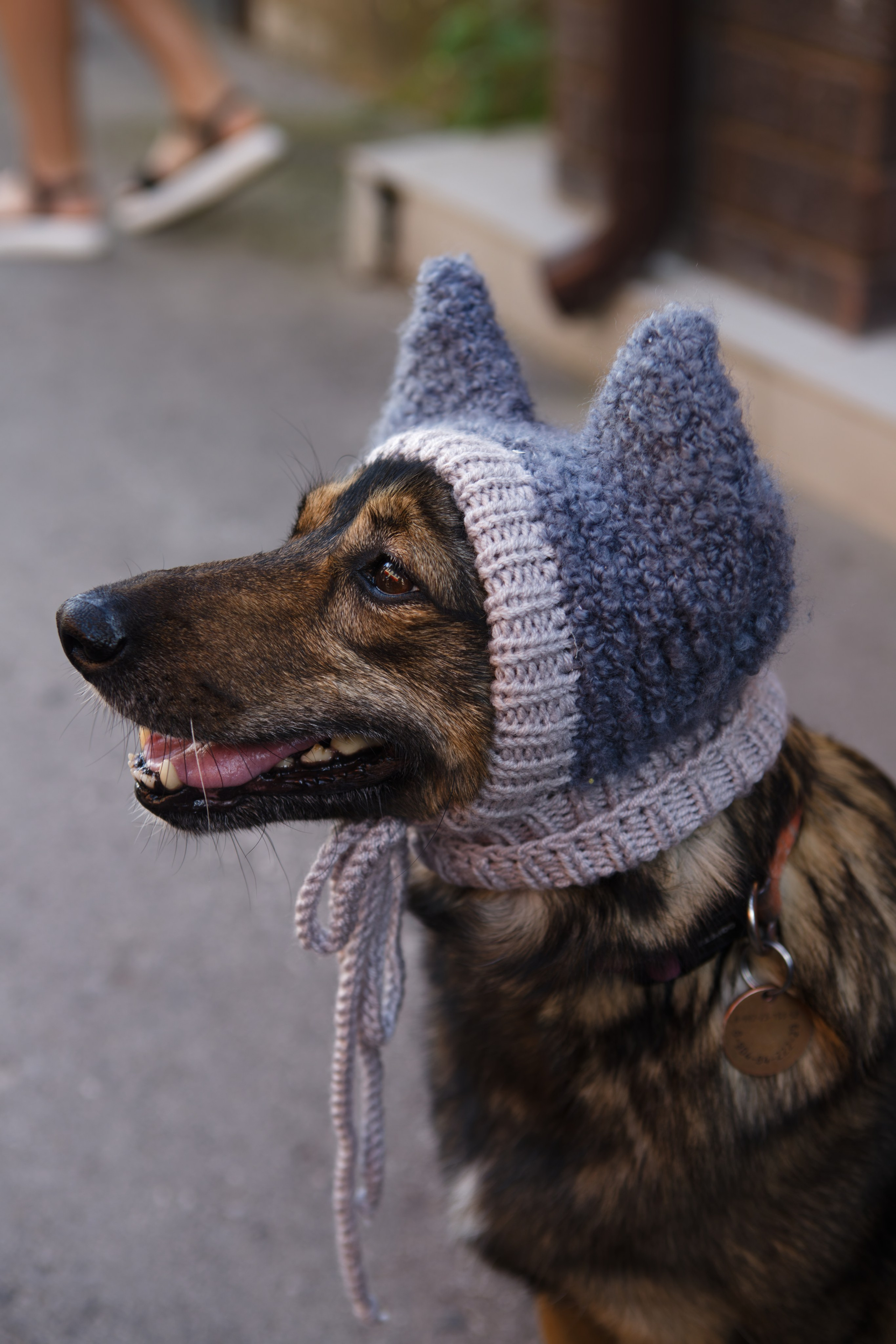 Мир животных. Репортажный и спортивный фотограф в г. Пермь Зильберг Павел