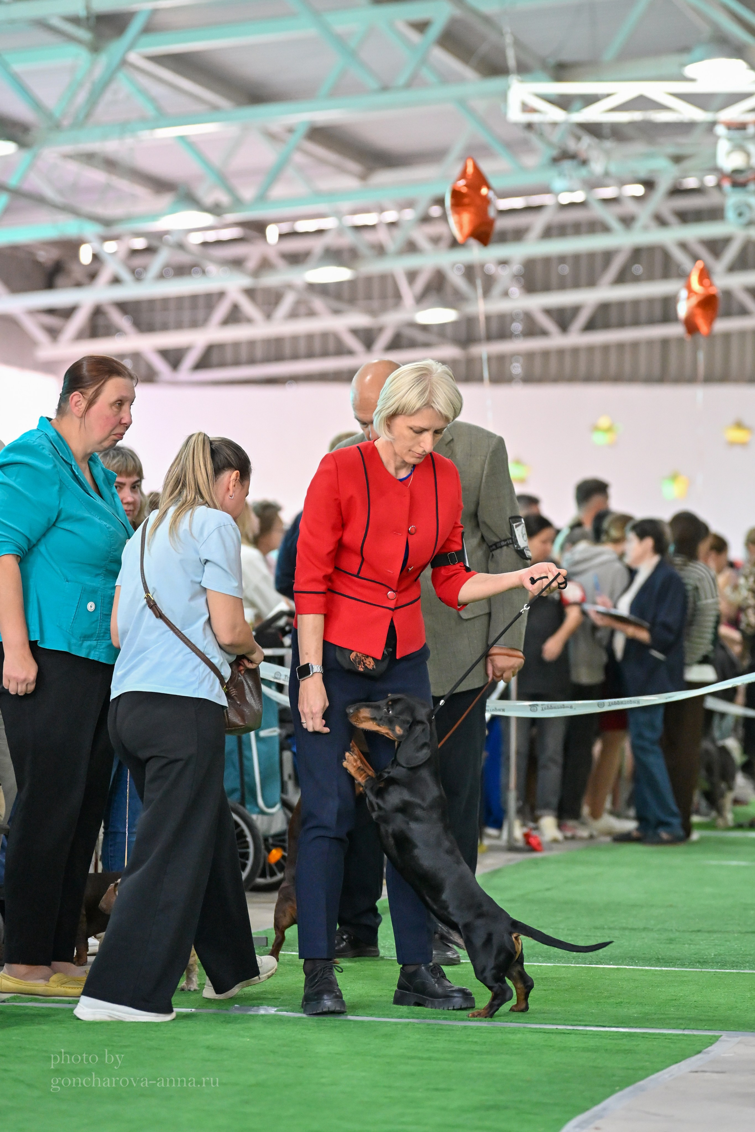 Выставки и дрессировка. Фотограф анималист в Ростове I Гончарова Анна