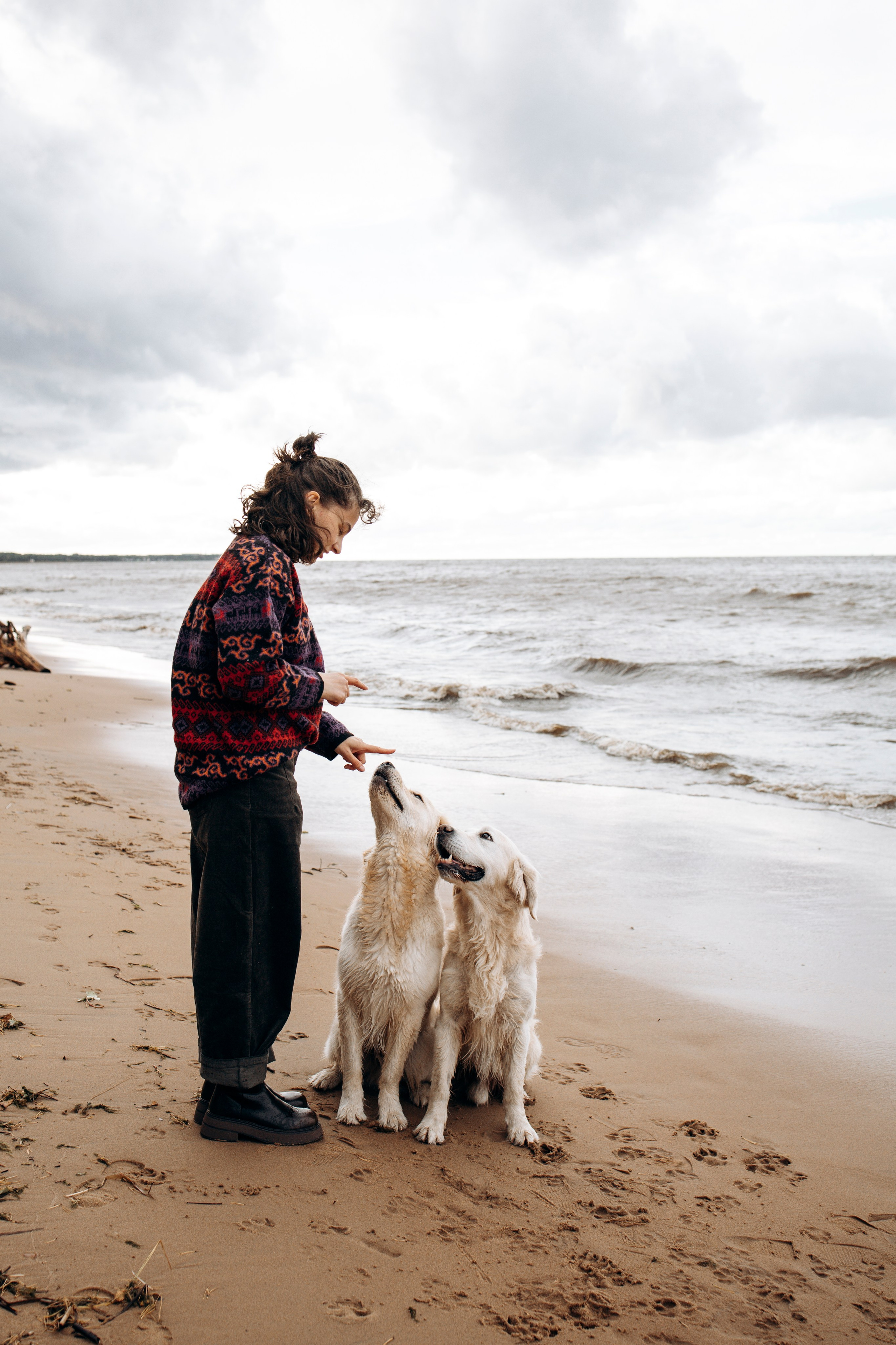 Прогулка Насти с Арчи и Арагоном. Фотограф-анималист в Санкт-Петеребурге Титова Алиса