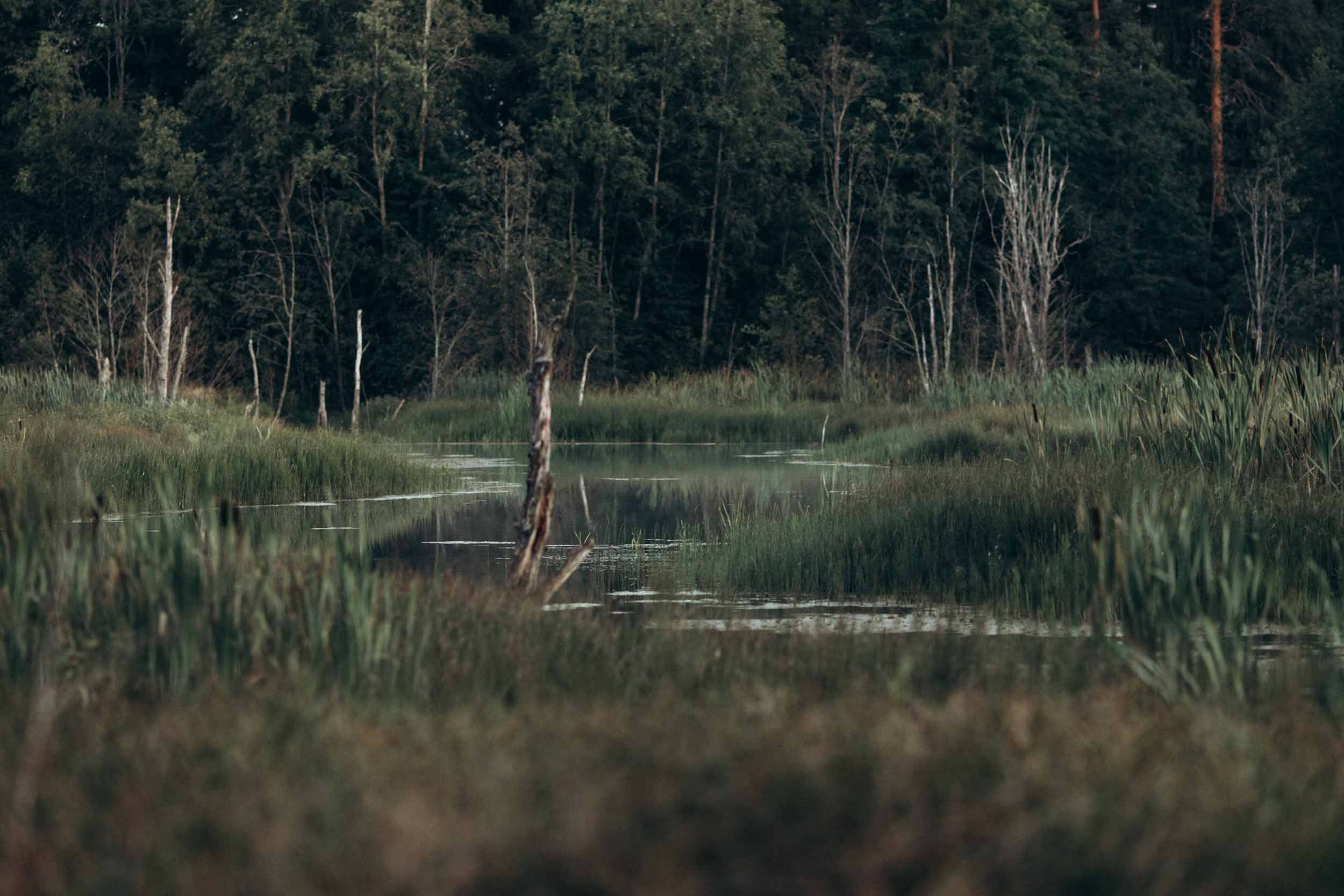 Природные пейзажи. Наталия Клевинскас портретный фотограф в Костроме