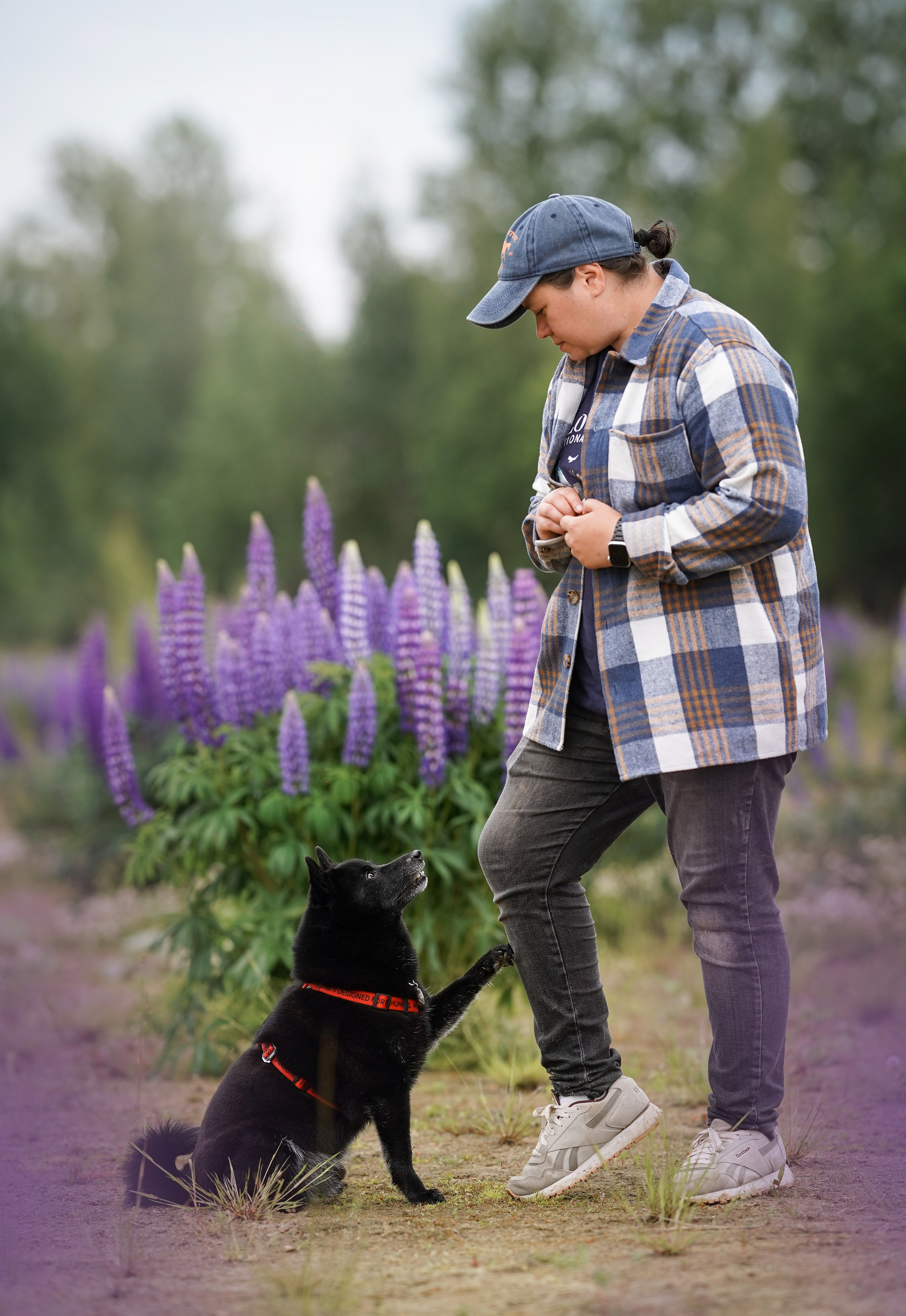 Аня Арчи и Панда в люпинах. Фотограф-анималист в Санкт-Петербурге Яна Мартынова