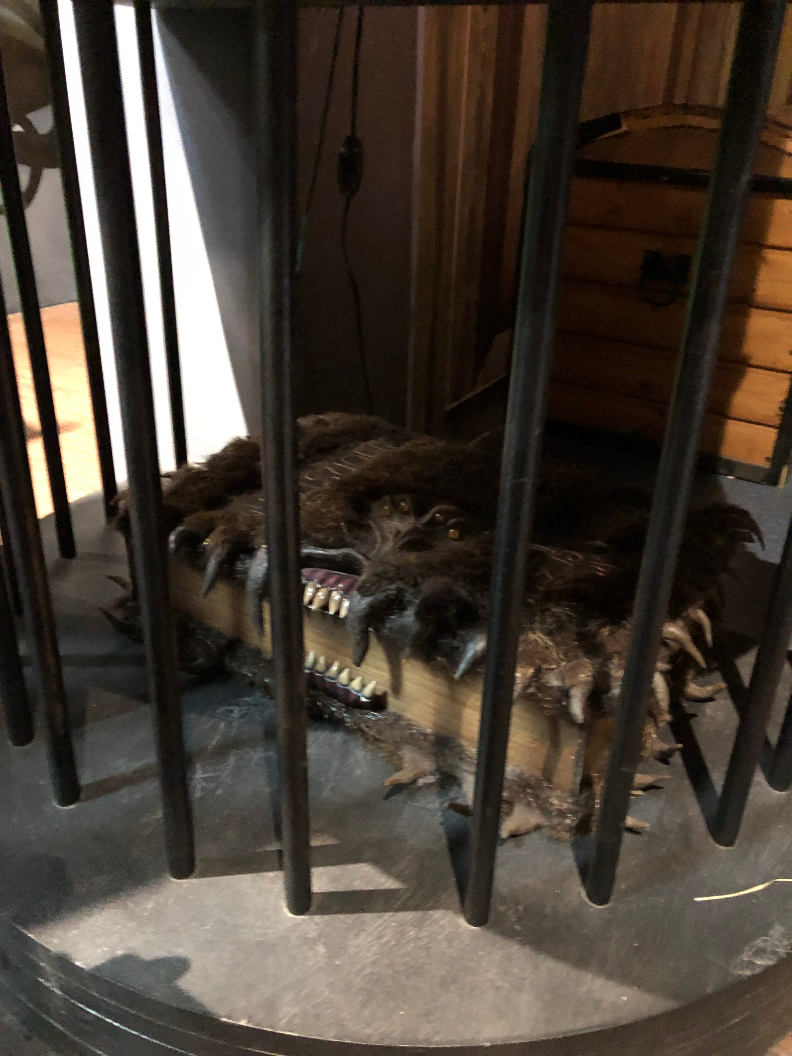 Октябрь. Семейный, Свадебный фотограф СПБ Питер— Романова Екатерина