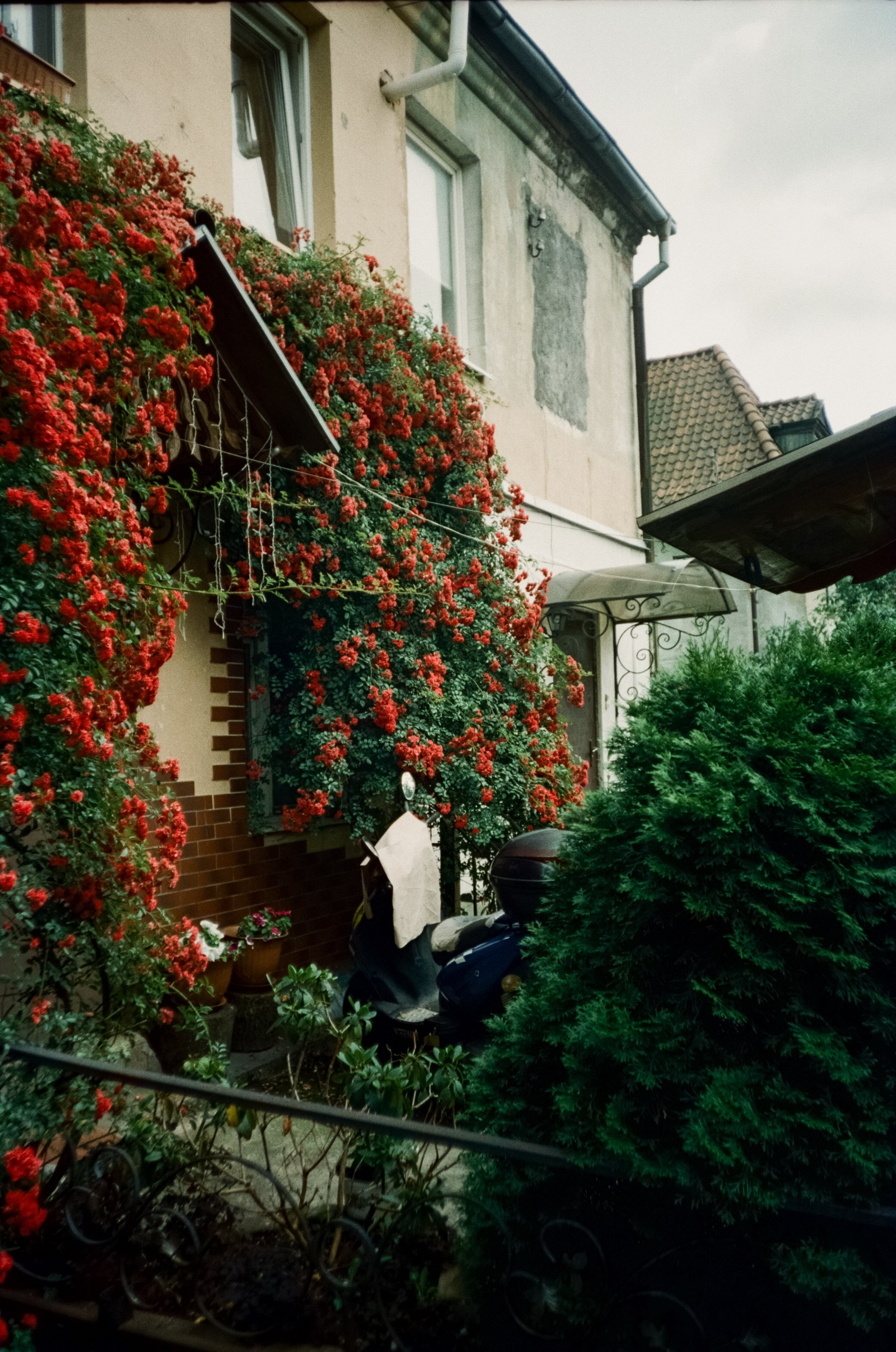 Ремонтная улица в районе Ратсхоф. Старый Калиниград. Фотограф-документалист Мария Осокина