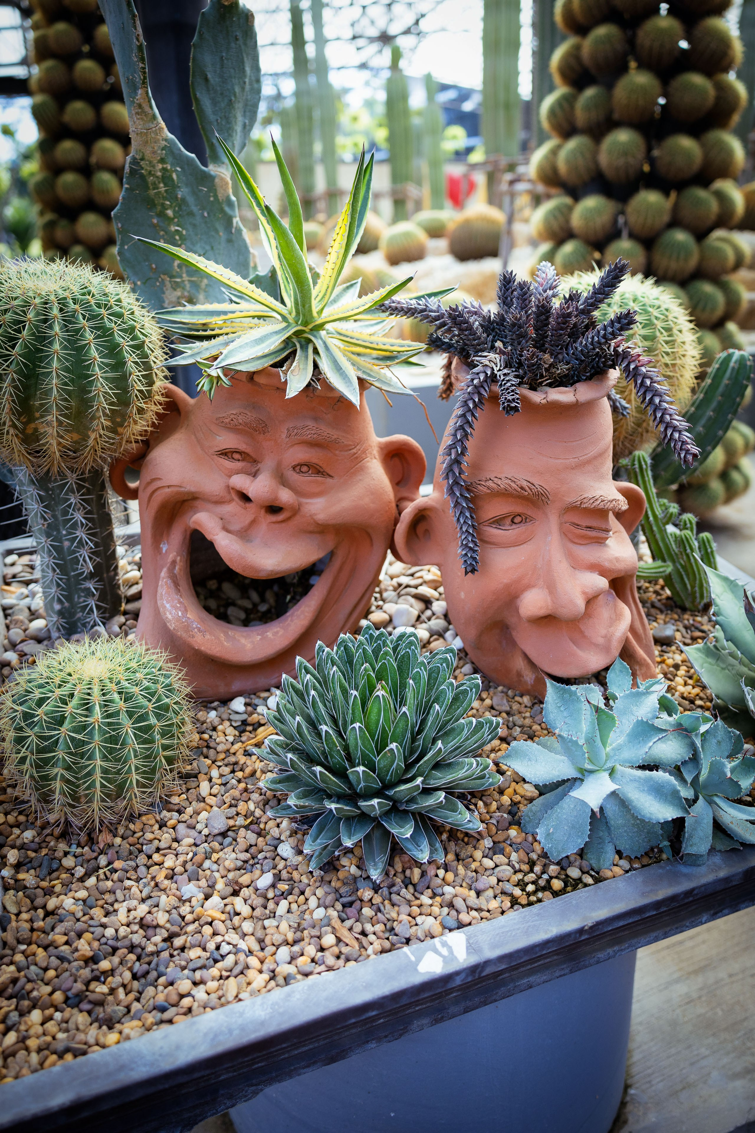 Таиланд (зима 2025). Фотограф Виноградов Константин