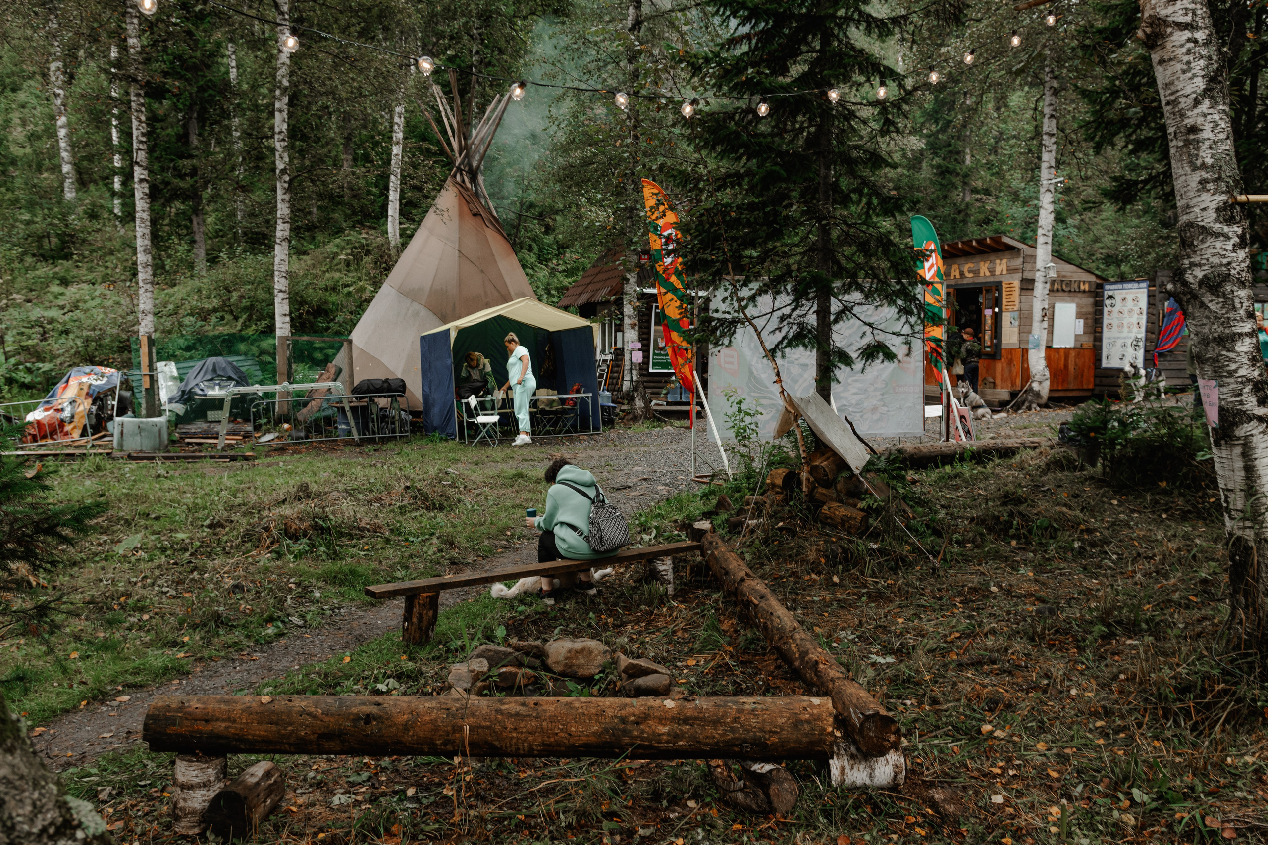 Дог-треккинг