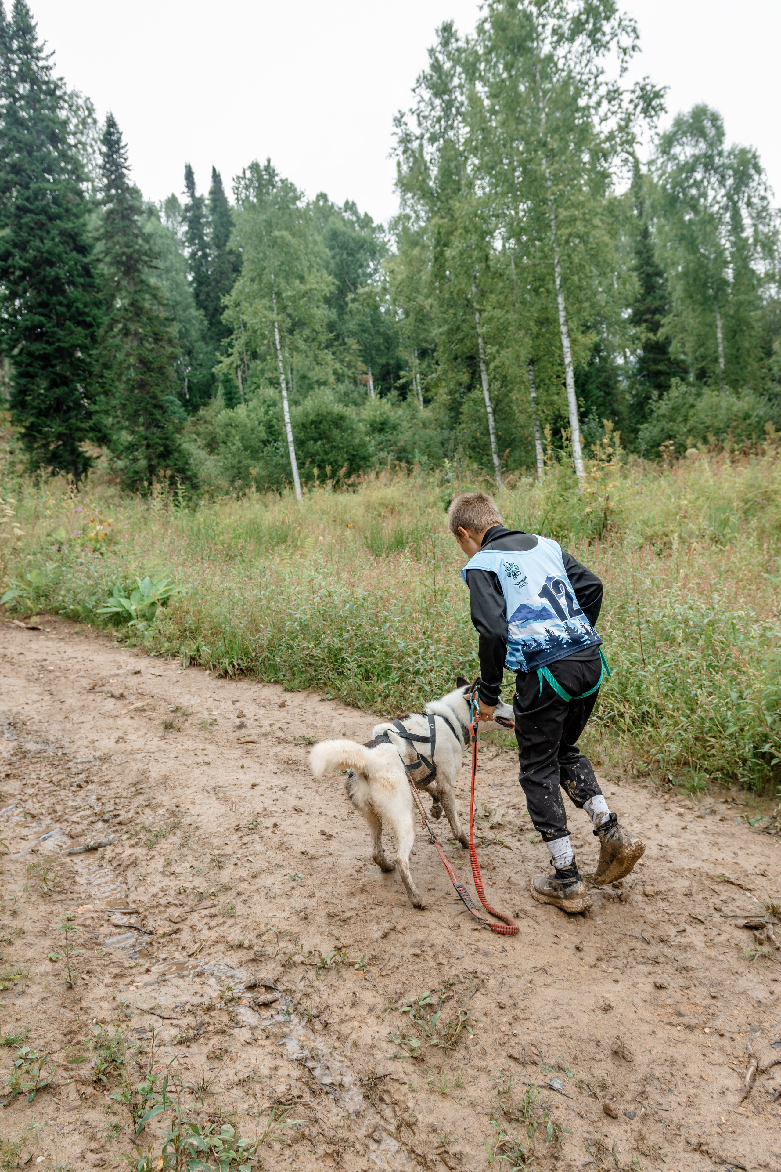 Дог-треккинг