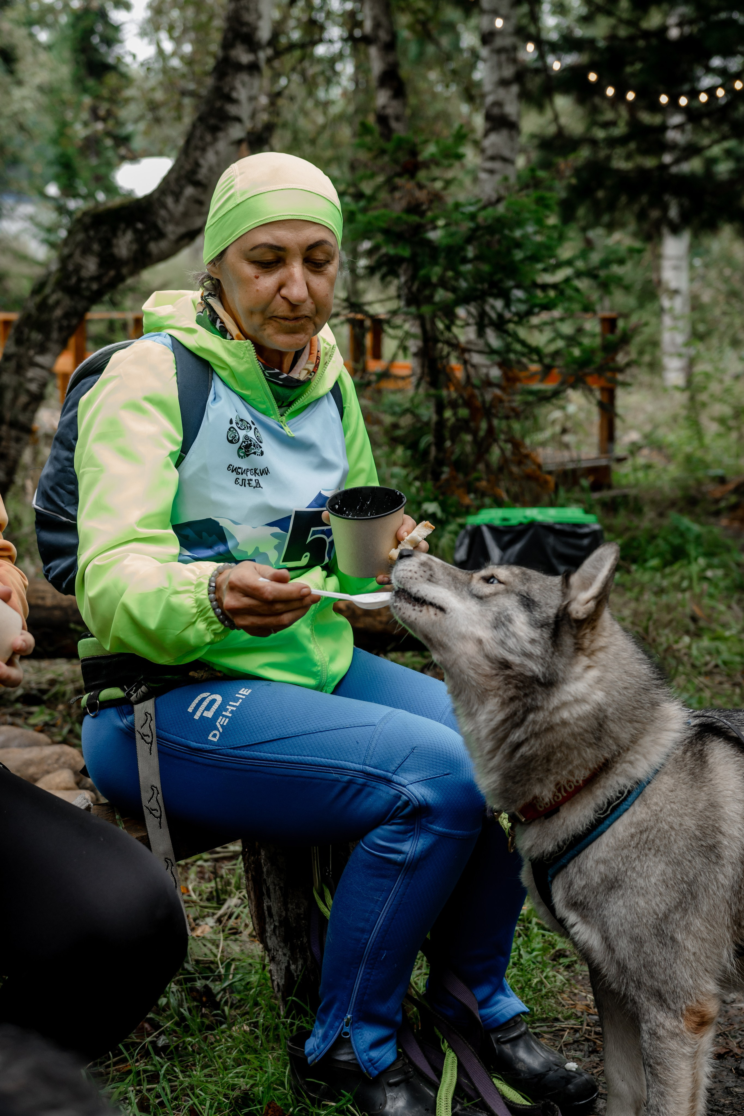 Дог-треккинг