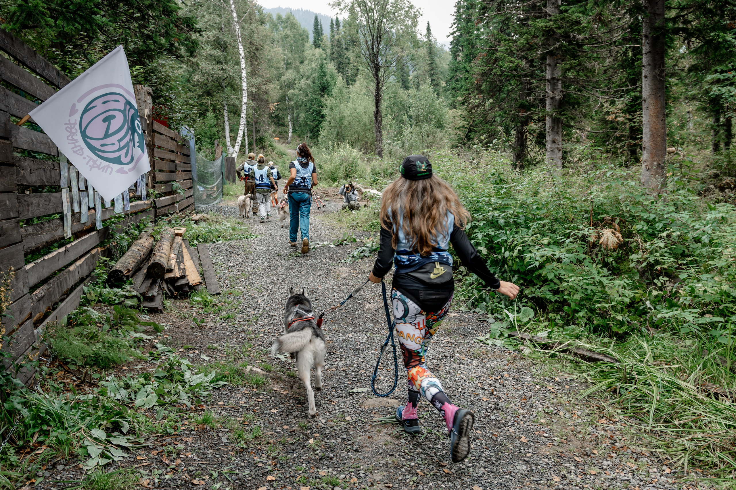 Дог-треккинг