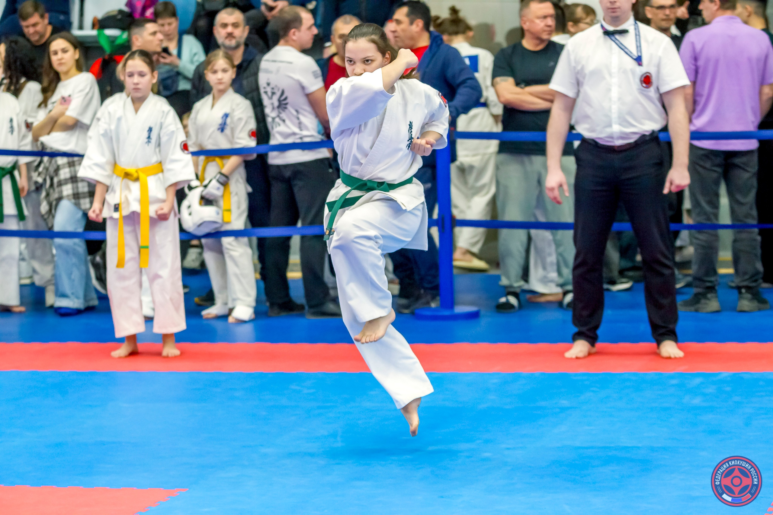 Международный турнир по киокушин «Открытый кубок Seiken». Репортажная съемка в Москве и области. Анималистика