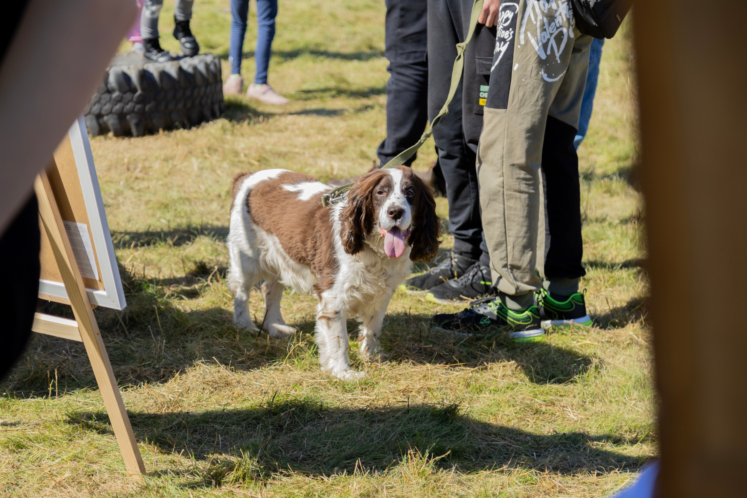 Фестиваль «Большой пикник», репортаж для ASAP Speedcubing. Репортажный и портретный фотограф в Владивостоке