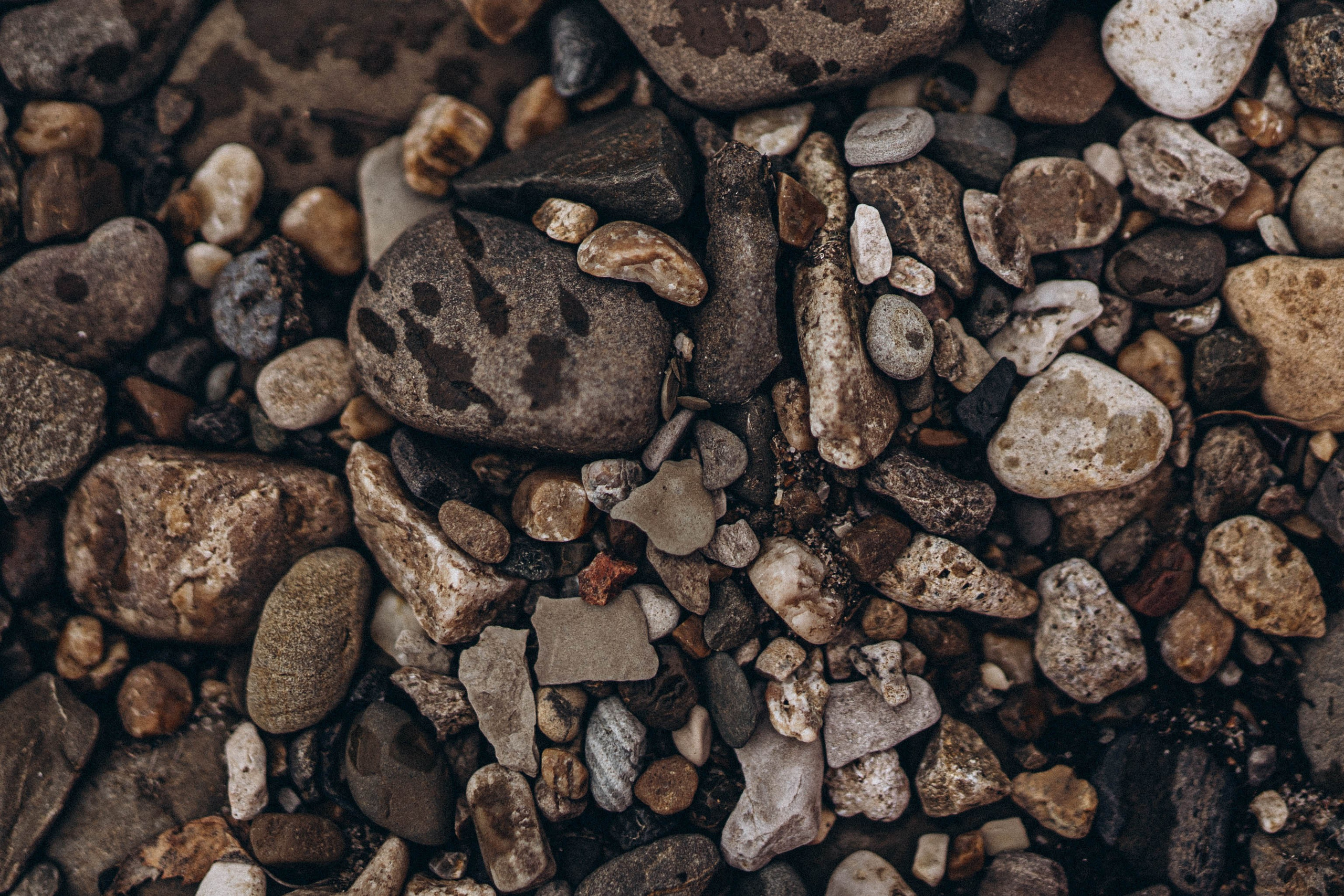 Наташа. Свадебный и семейный фотограф в Перми Дарья Алекс