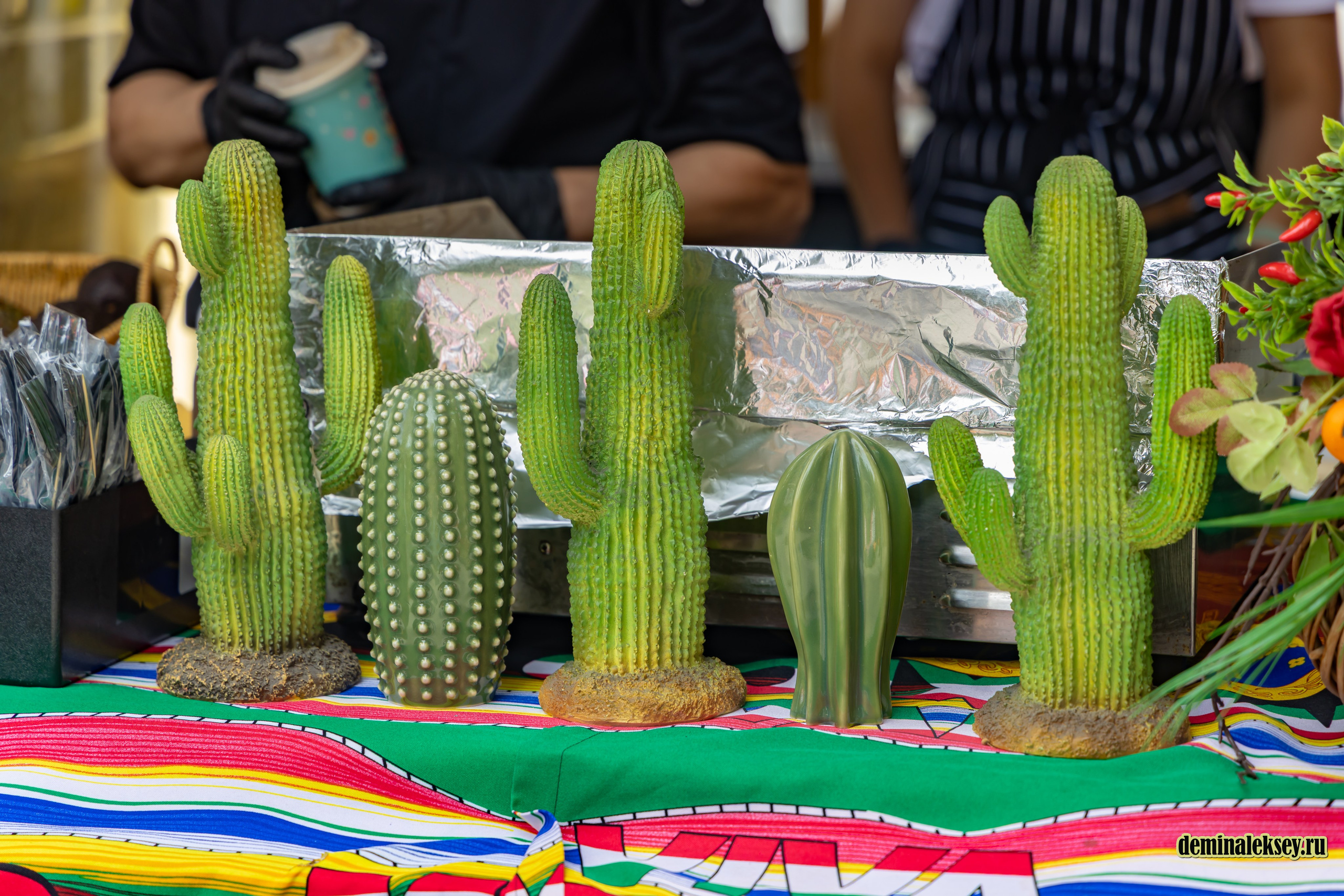 Фестиваль Латиноамериканской и Карибской культуры 19–20 июля 2025 года. Репортажный, семейный и студийный фотограф в Москве Демин Алексей