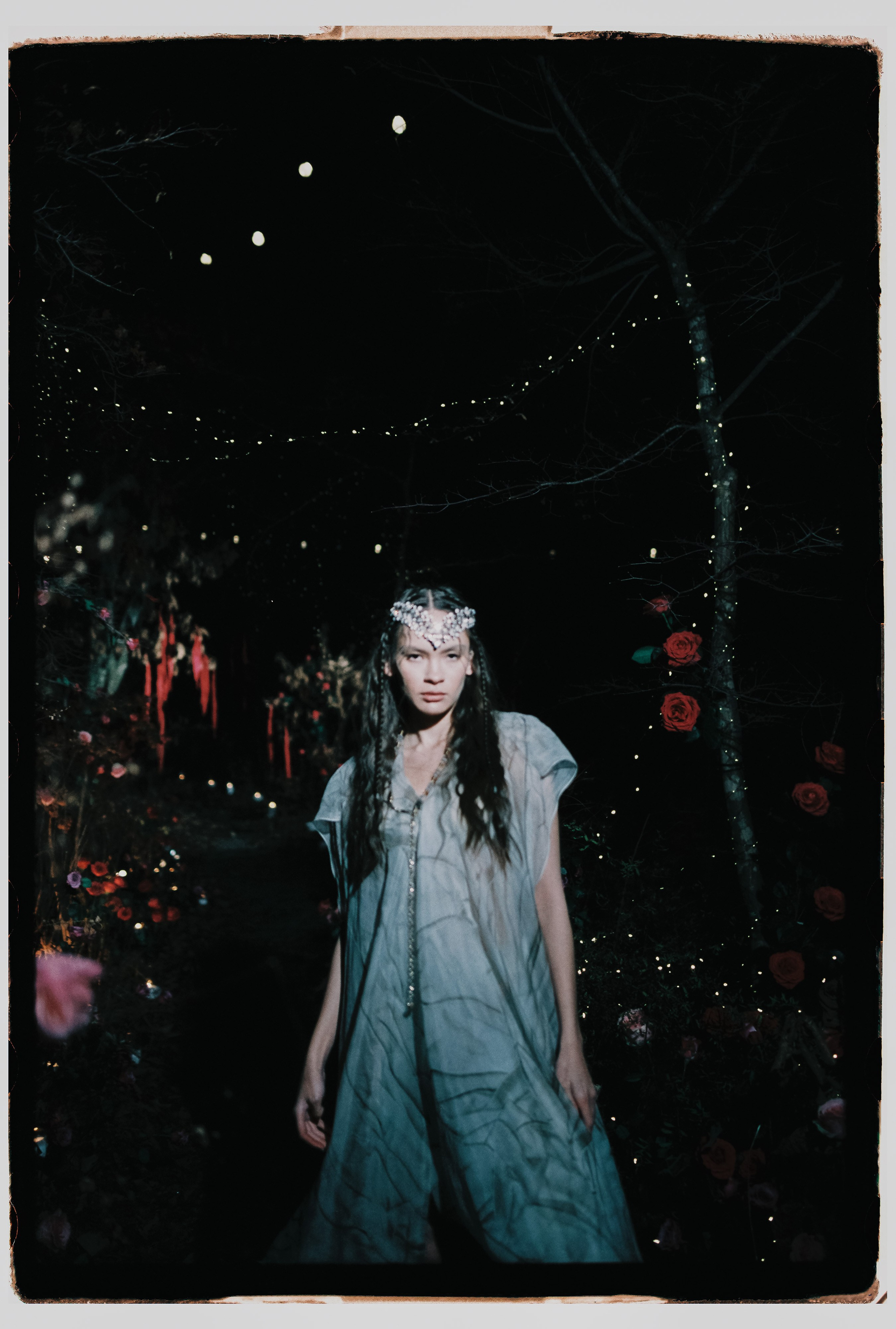 Лесной променад