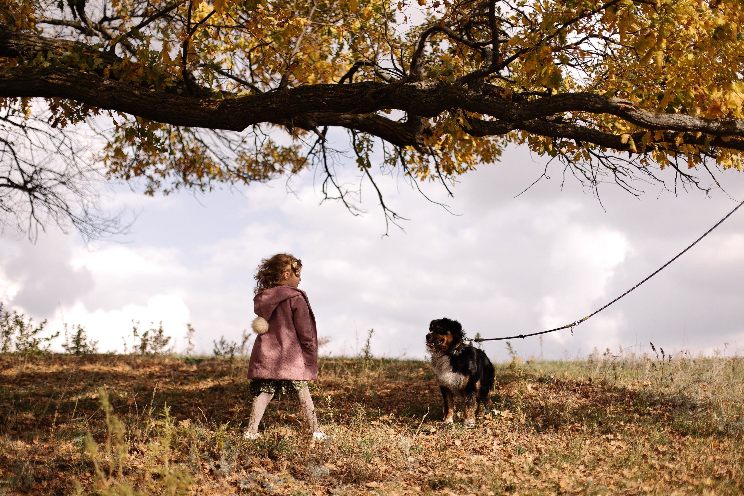 А давай запустим воздушного змея?. Семейный фотограф в Самаре