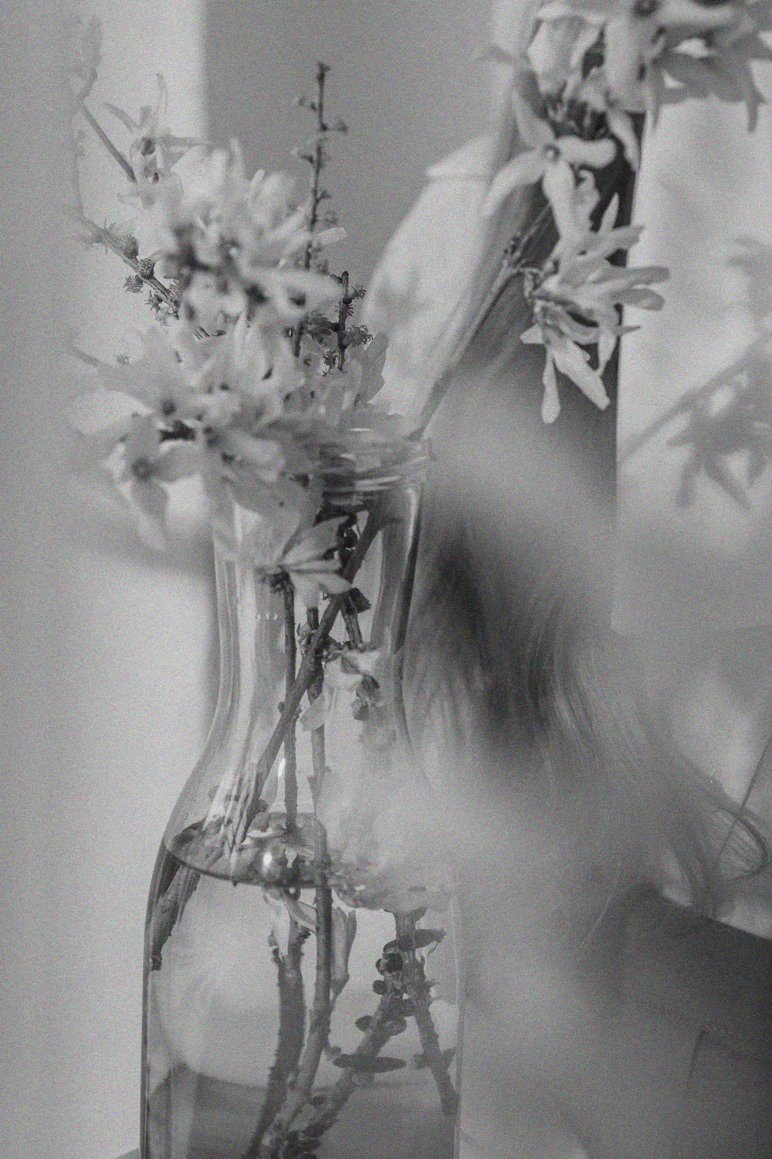 Эстетика П р о Я в л е н и я. Виноградова Маргарита. Фотограф P r o Явления