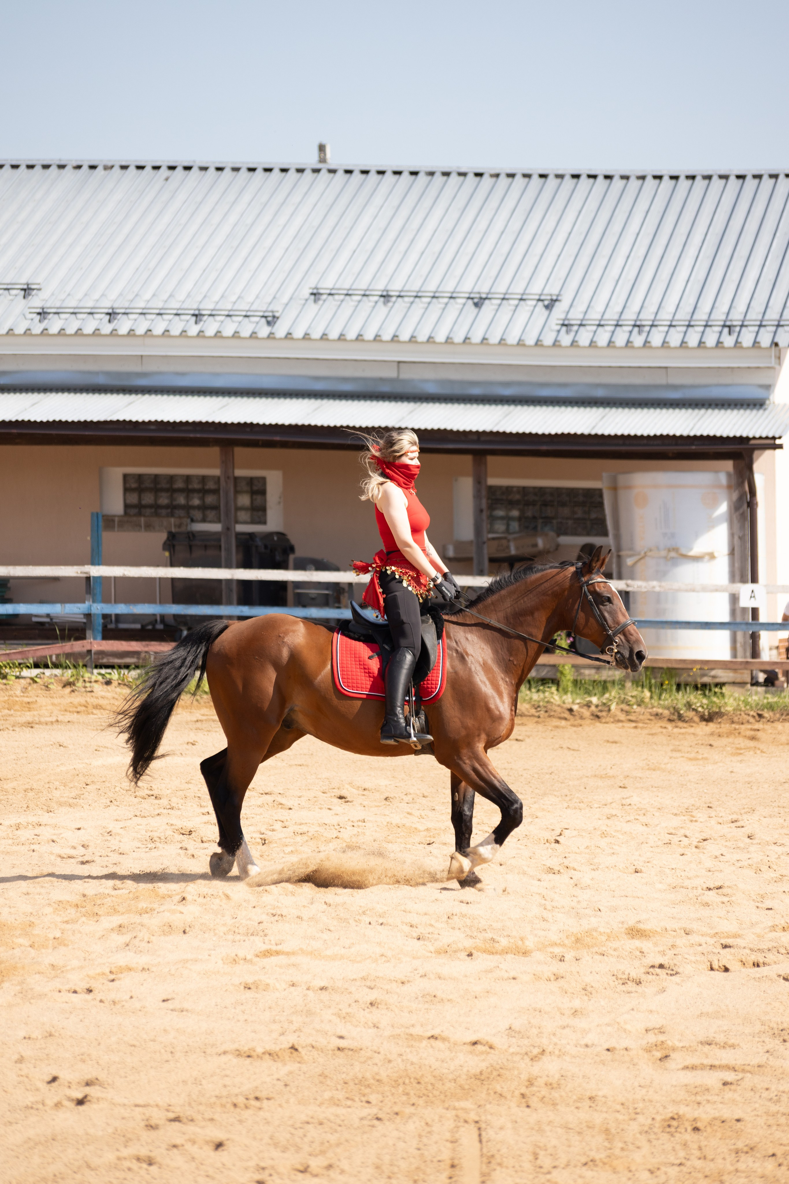 Конюшня. Фотограф в Москве и Истре