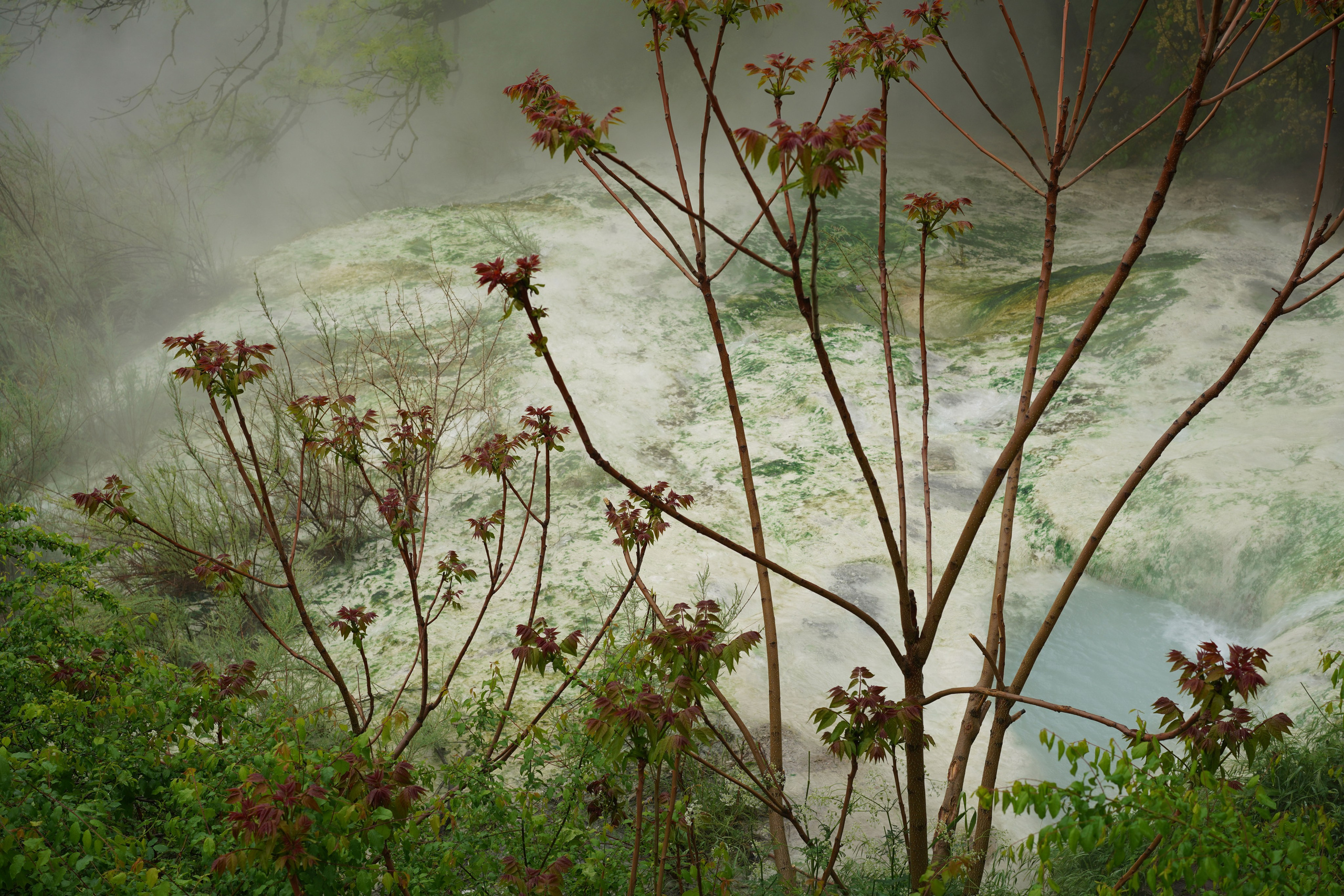 Природа и животные. Творческий фотограф Ирина Баландина.  Санкт-Петербург, Мурманск