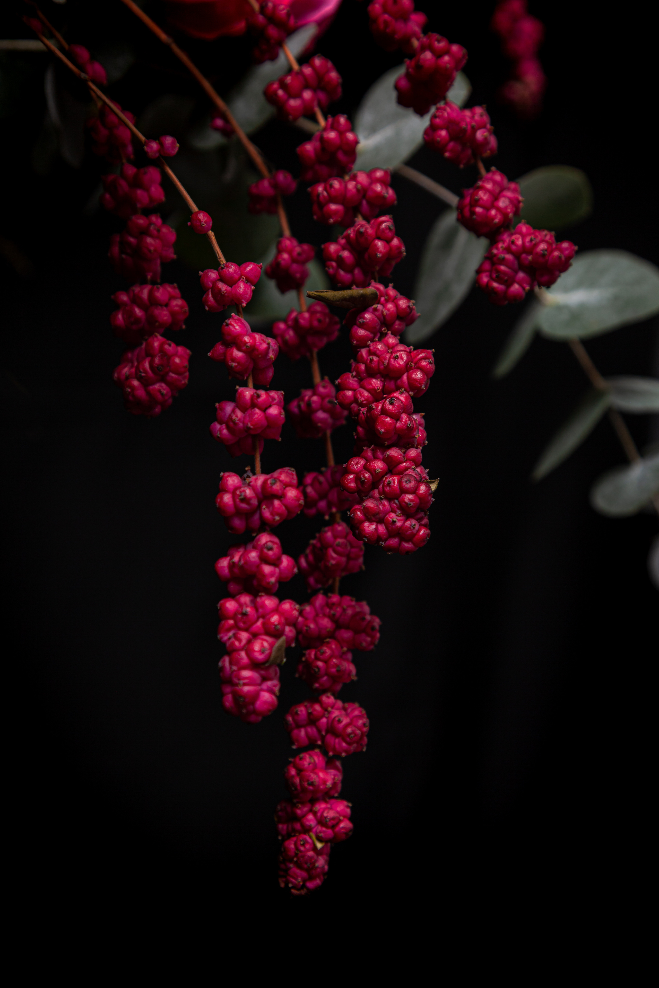 Цветы. Свадебный фотограф Дмитрий Гладков